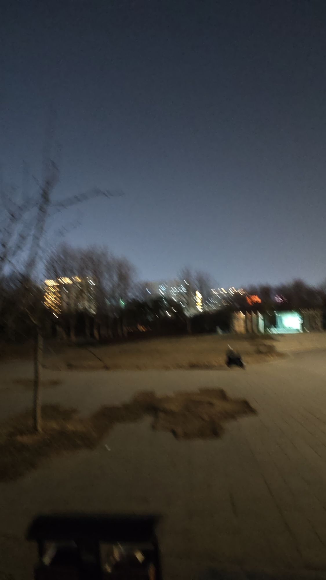 龙湖外环公园旅行图片 3