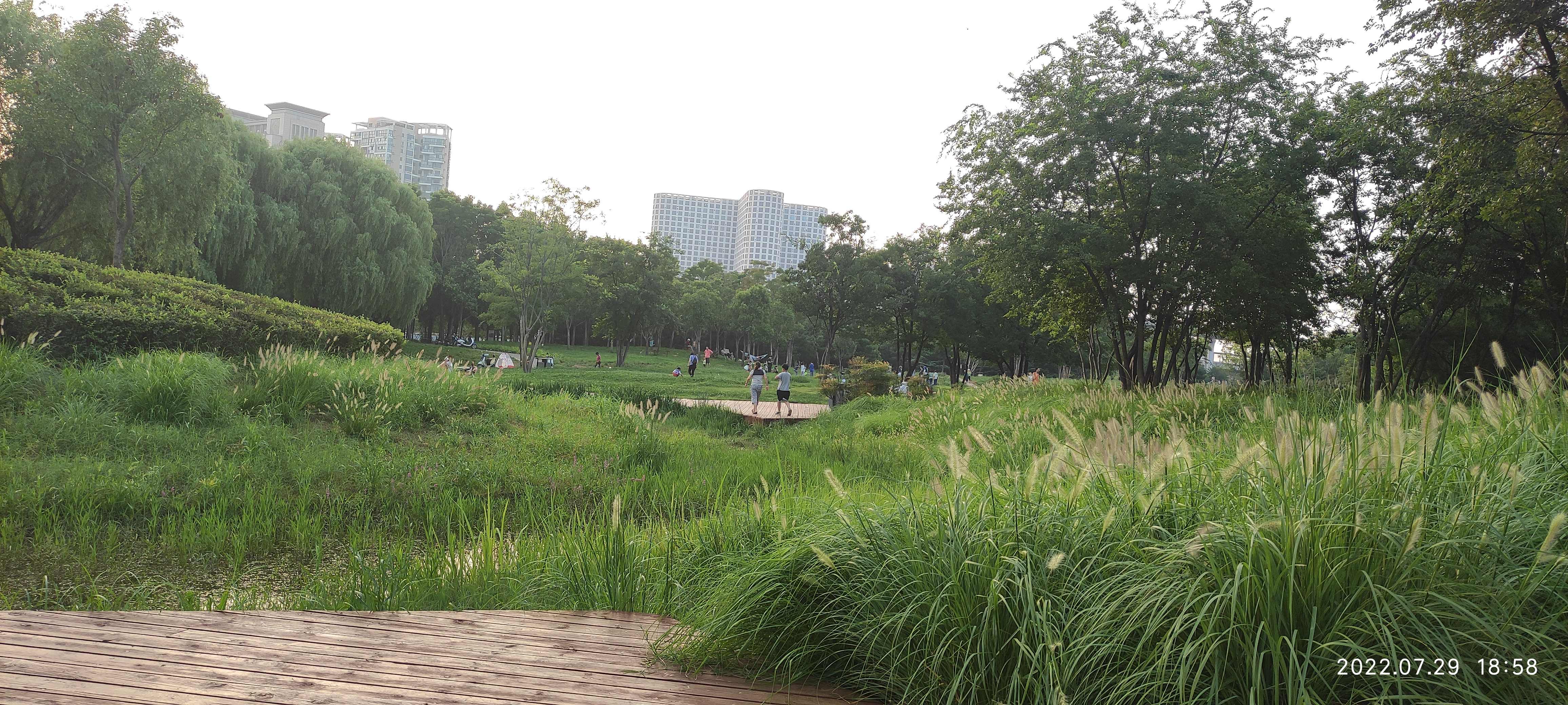 龙湖外环公园