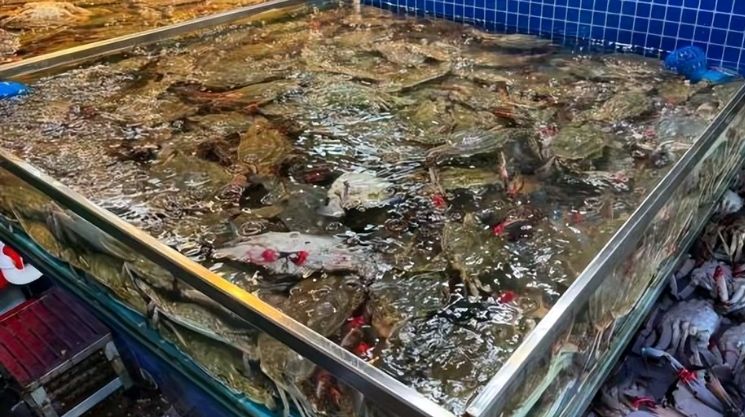 天津金元宝海鲜批发市场