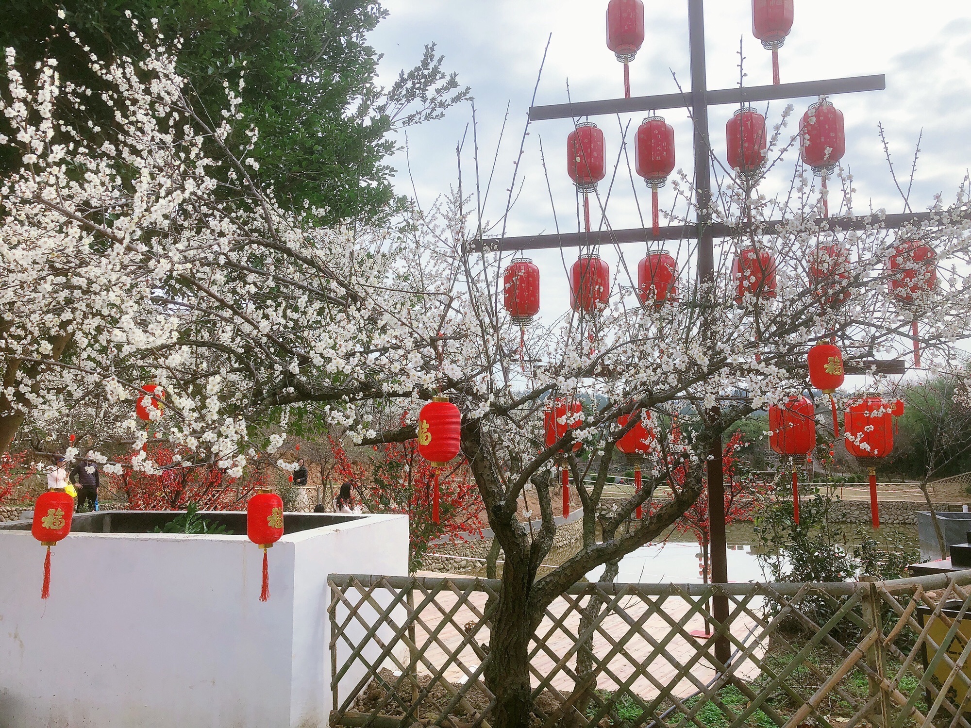 上杭观音井百果园景区旅行图片 3