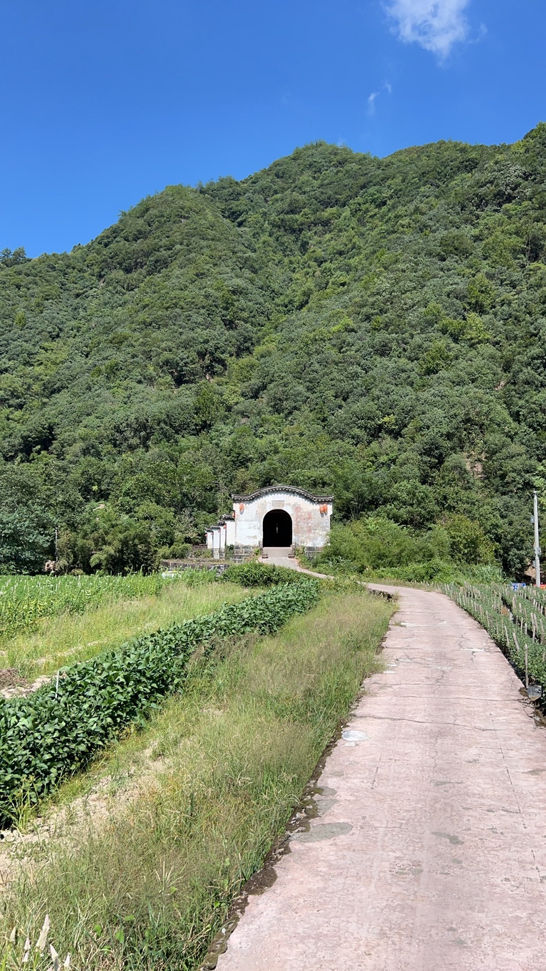 迪岭村拱北廊桥旅行图片 3