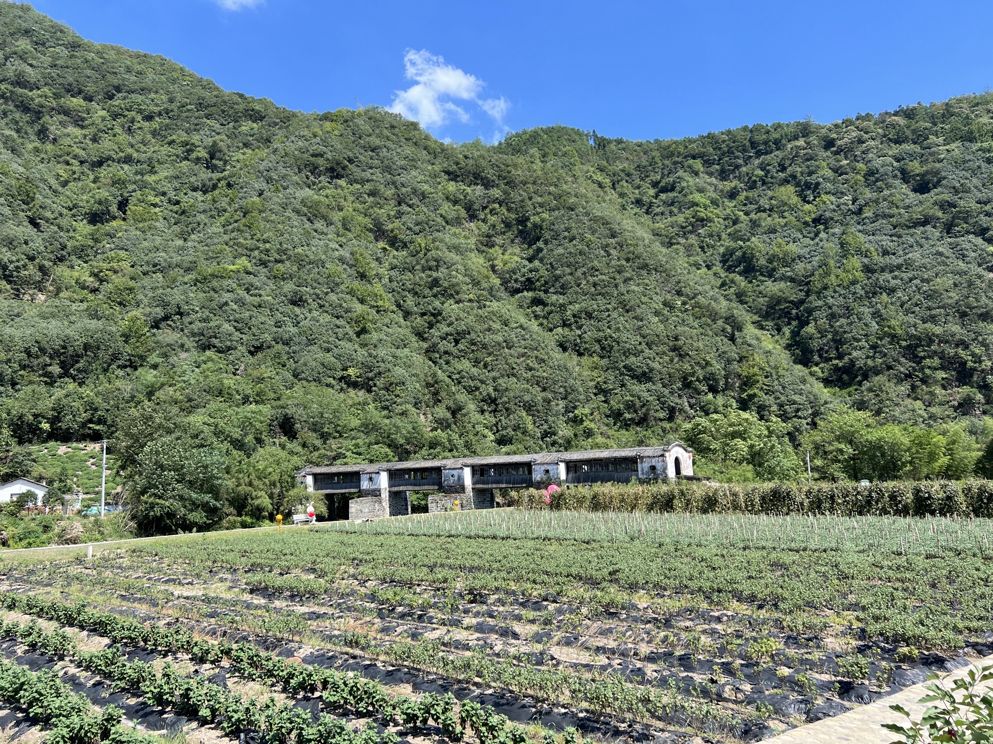 迪岭村拱北廊桥旅行图片 2
