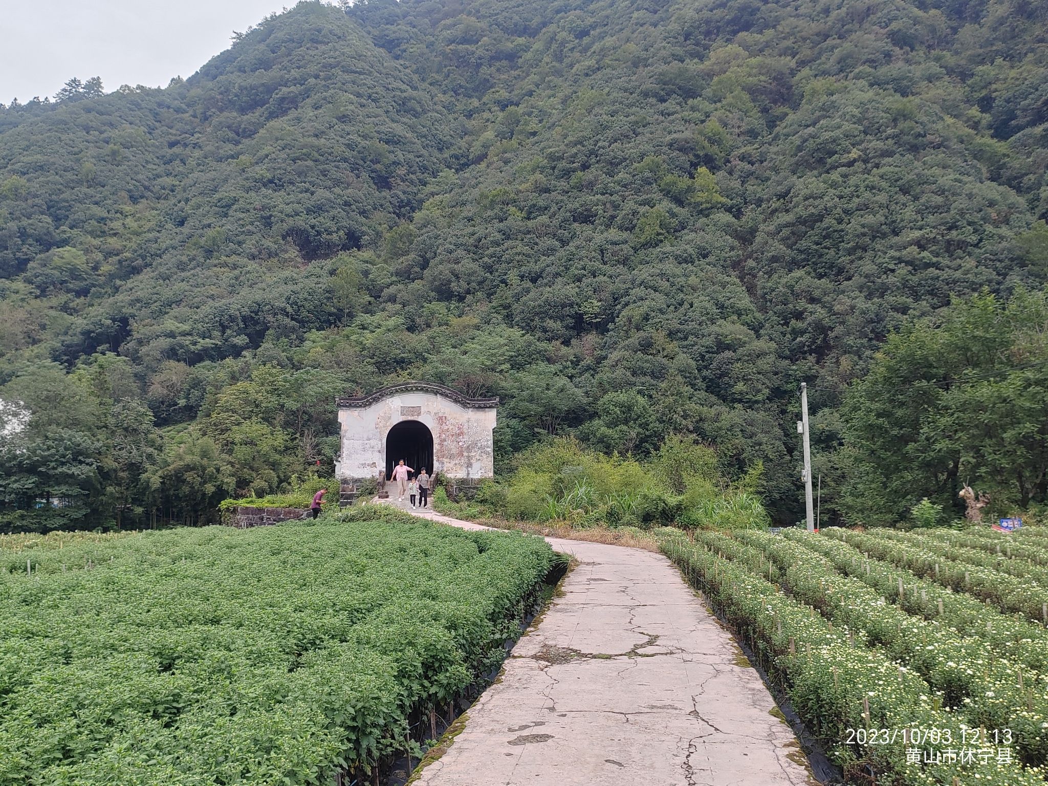 迪岭村拱北廊桥旅行图片 1