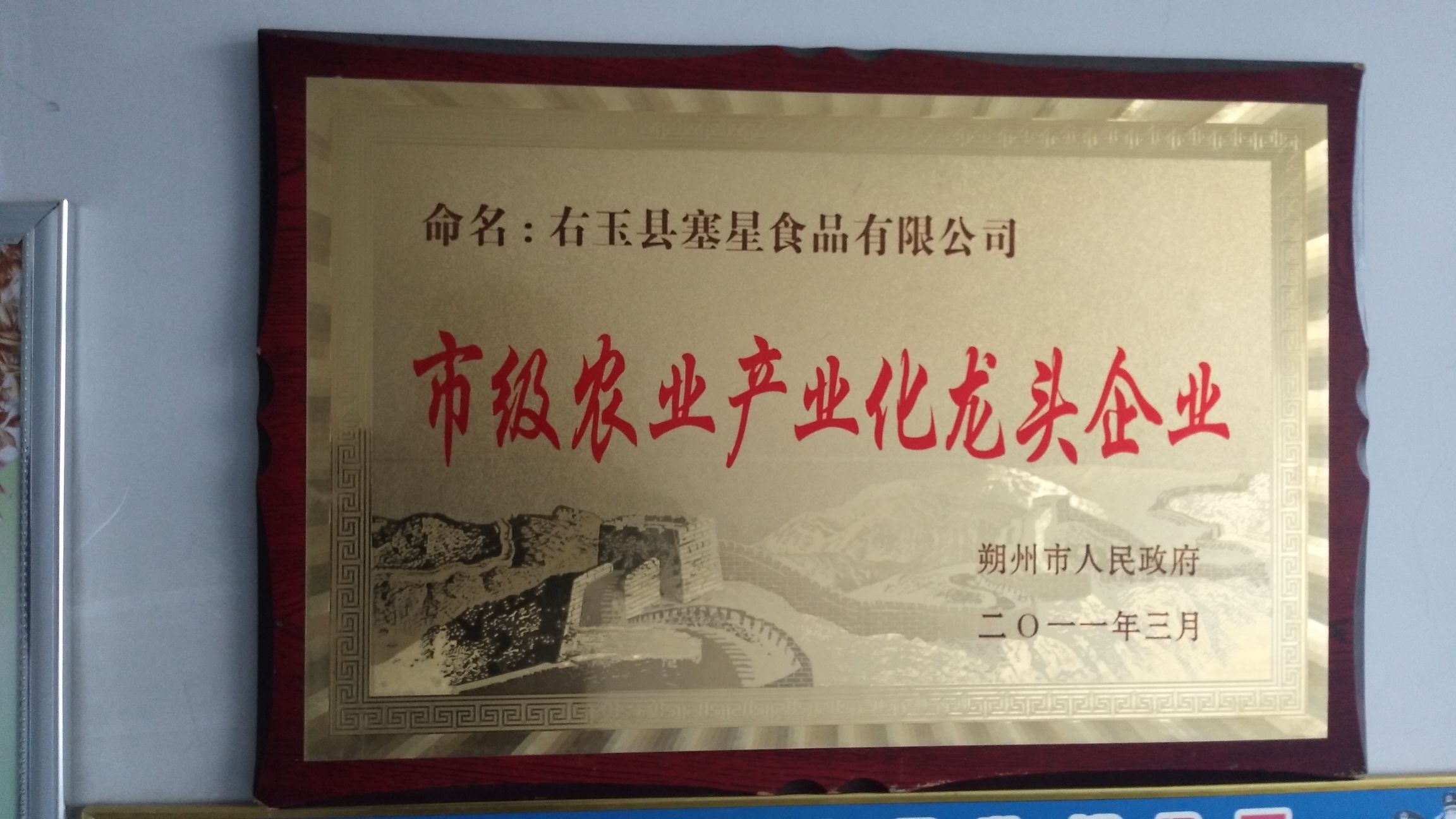 右玉县塞星食品有限公司