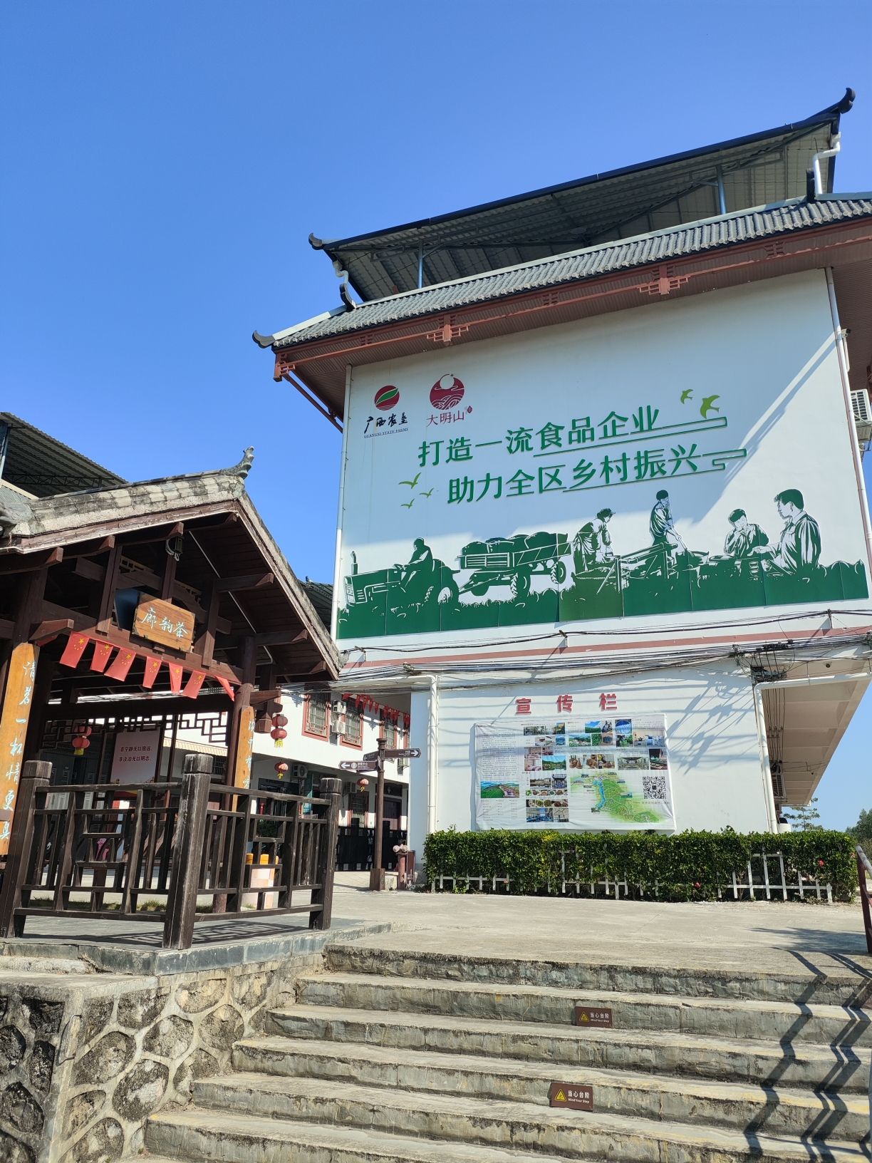 大明山万古茶园旅行图片 1