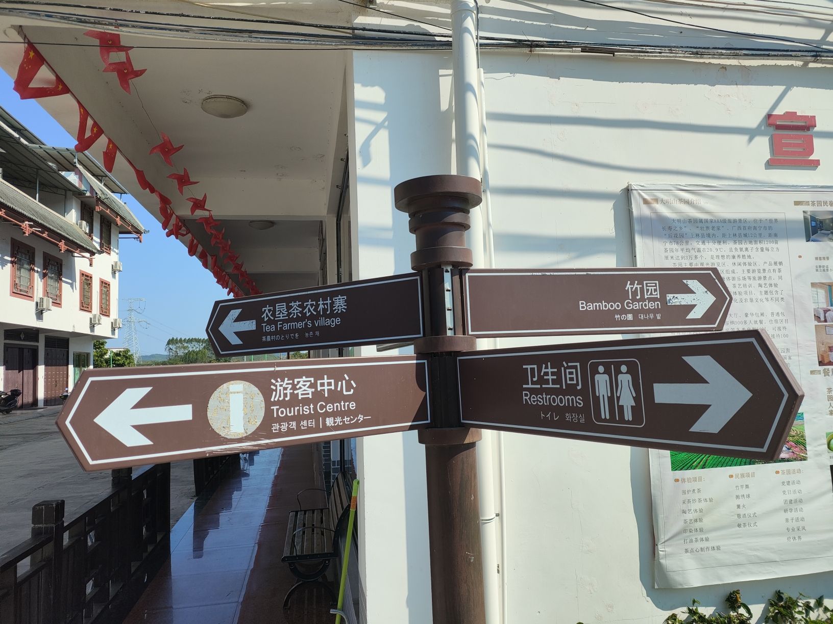 大明山万古茶园旅行图片 2