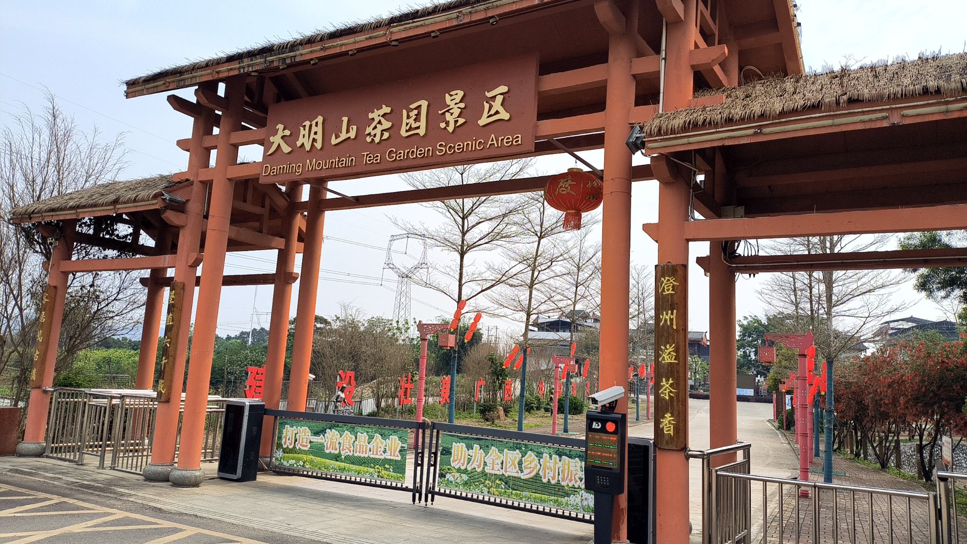 大明山万古茶园旅行图片 1