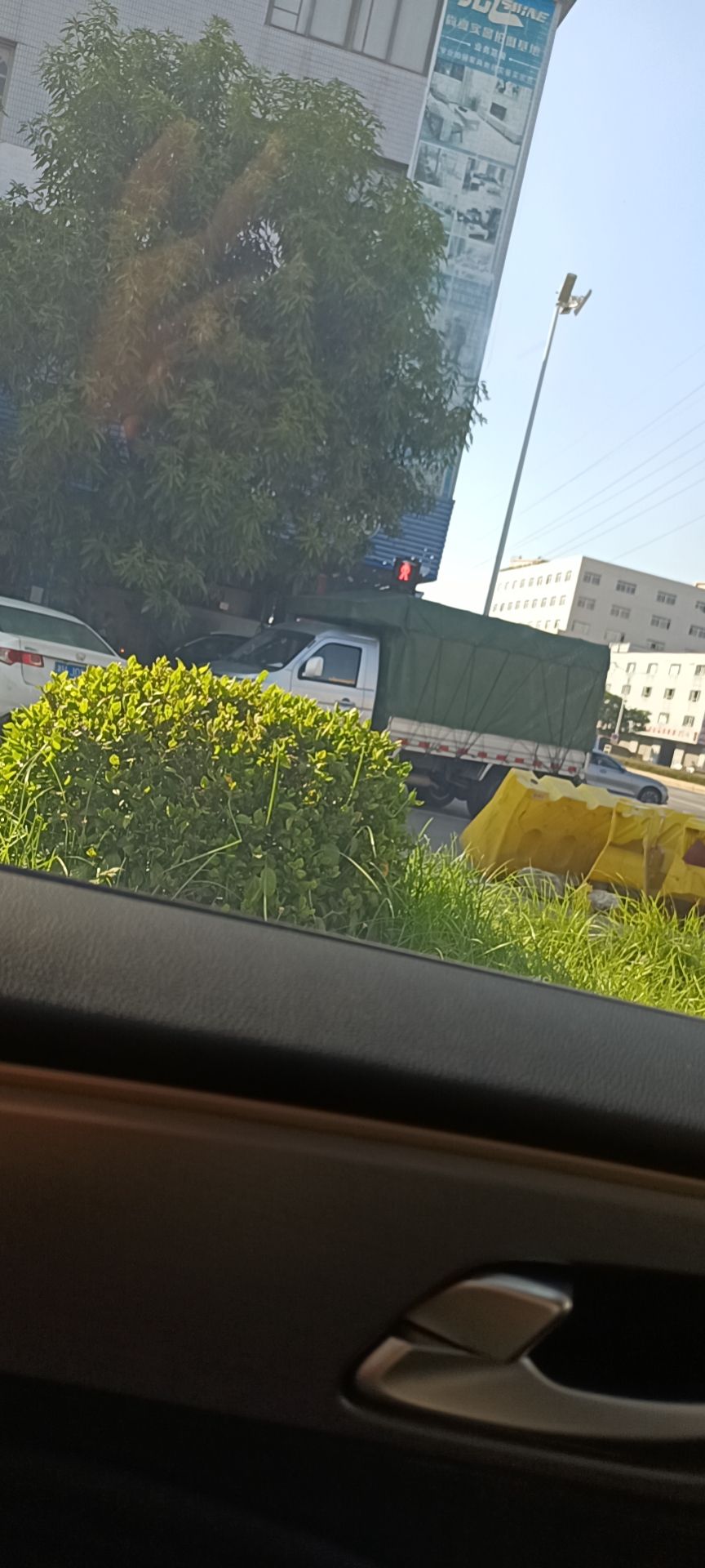 琴湖公园旅行图片 2