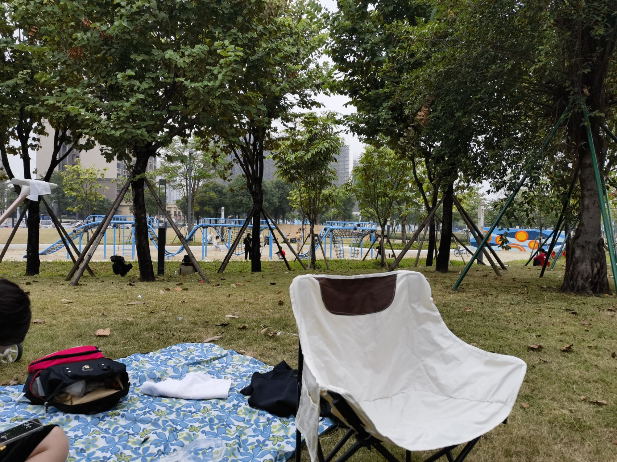 琴湖公园旅行图片 1