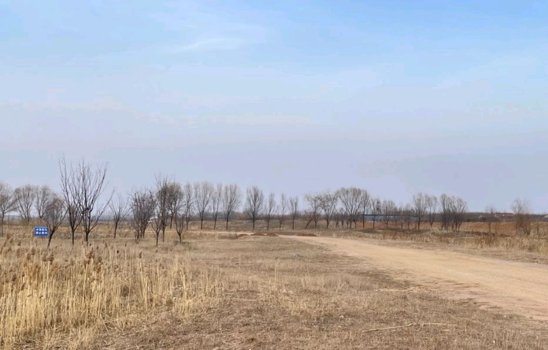 沂沭河国家湿地公园旅行图片 2