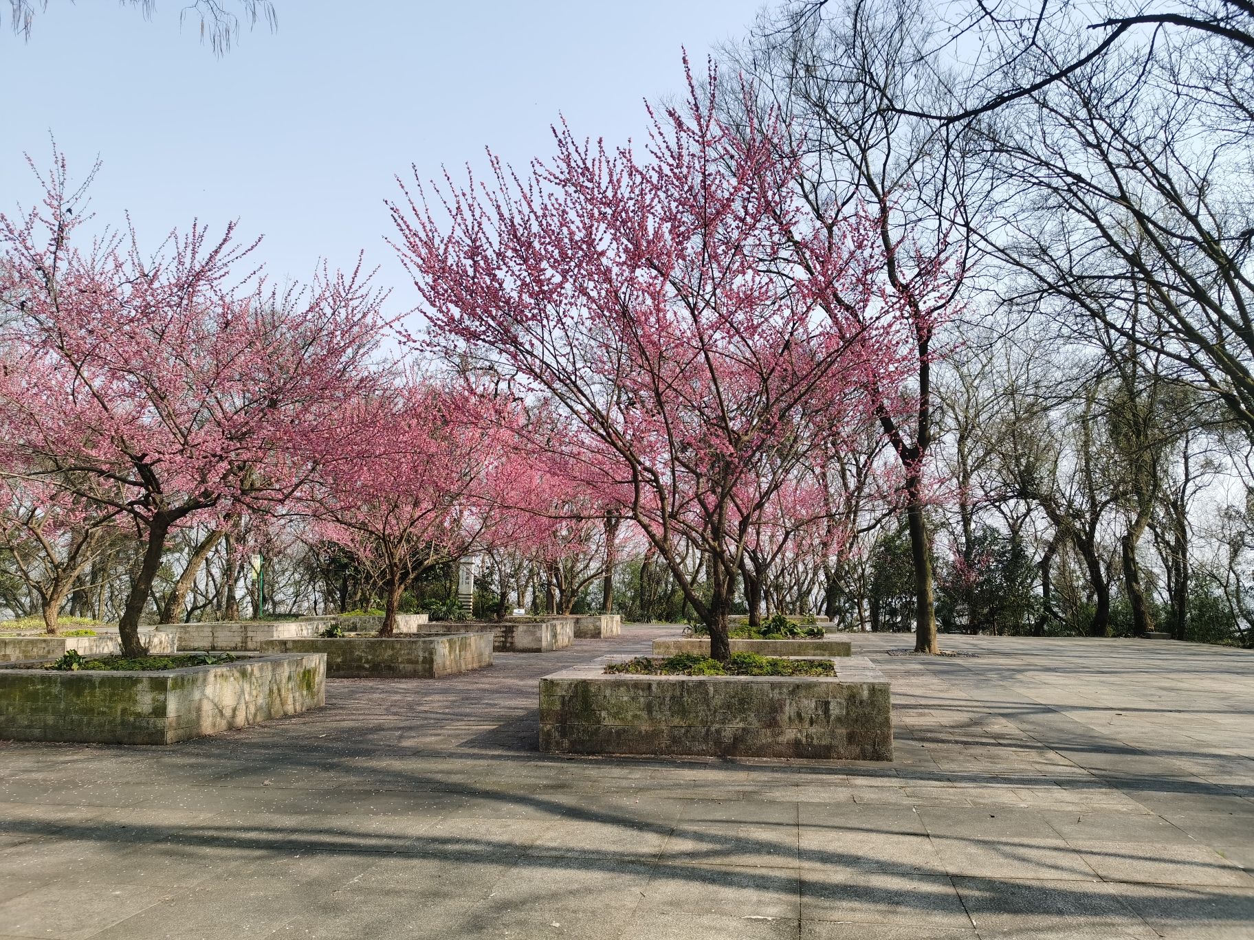 和合生态园旅行图片 3