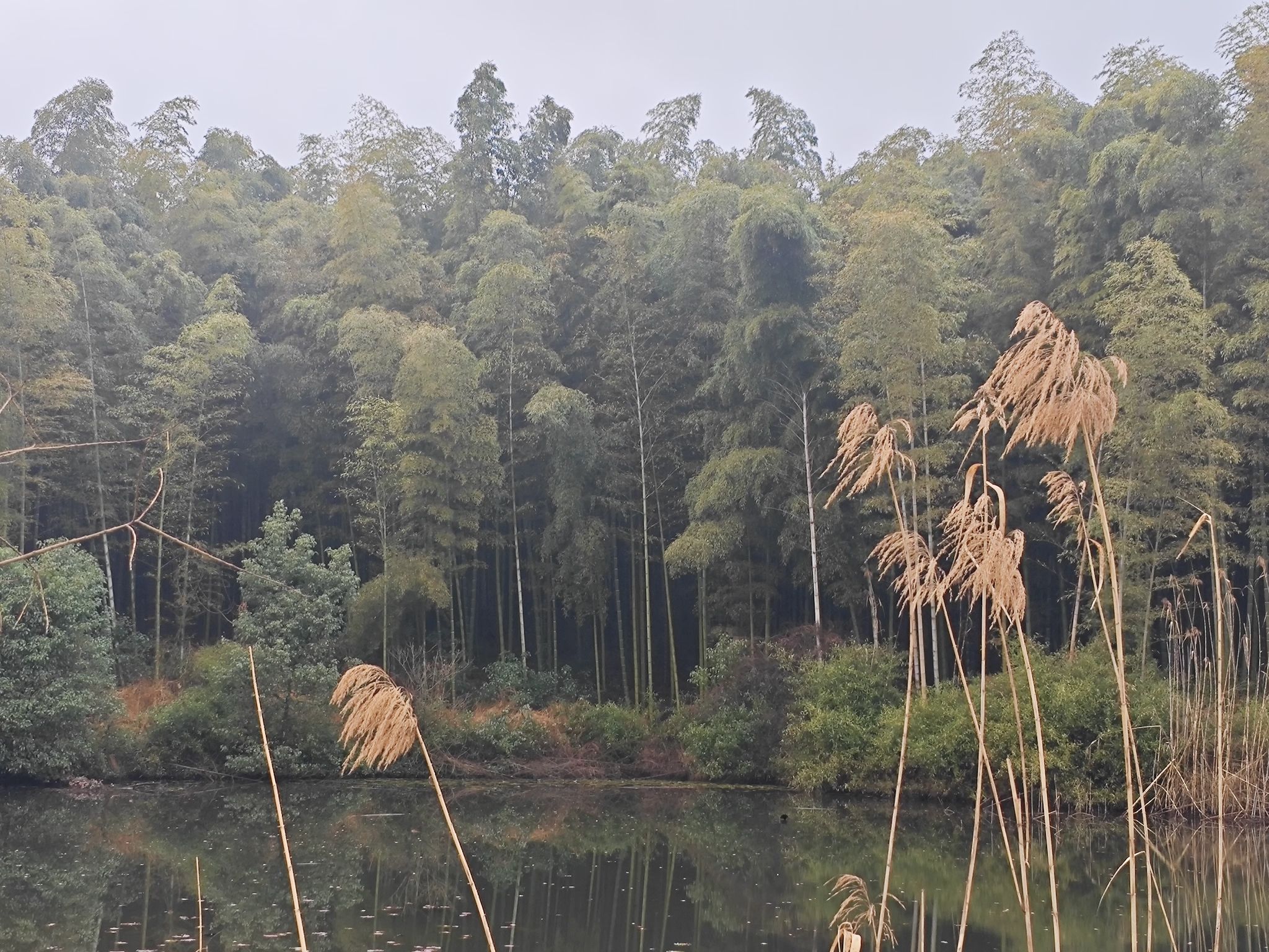 和合生态园旅行图片 1