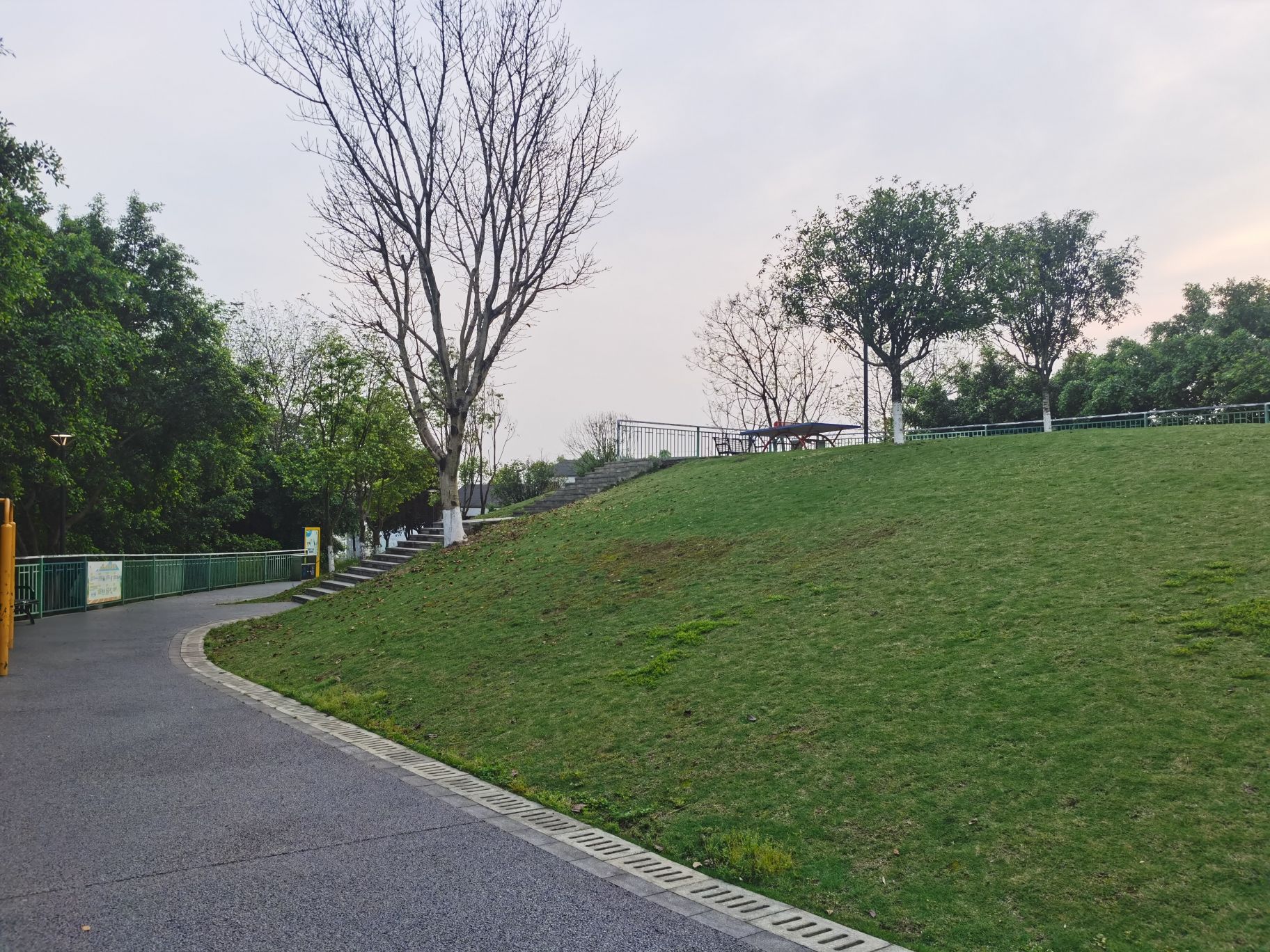 桐梓山体育文化公园旅行图片 3