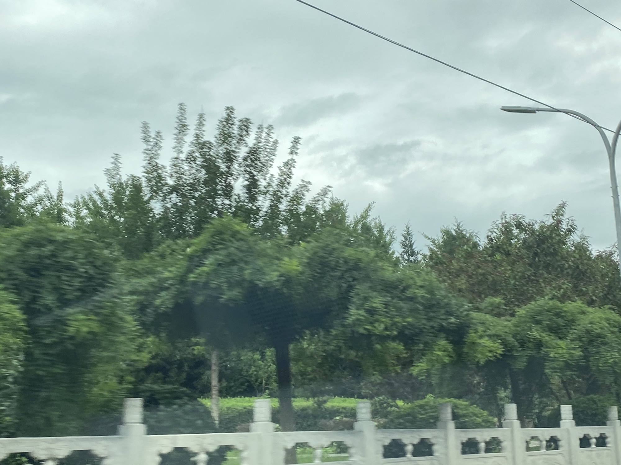桥梓公园旅行图片 1
