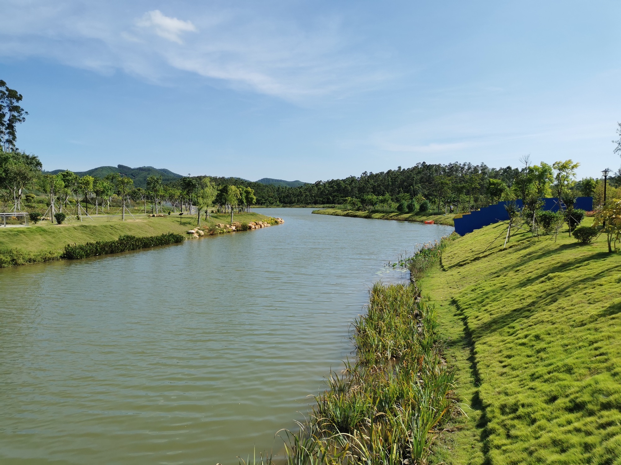 金星湖湿地景区