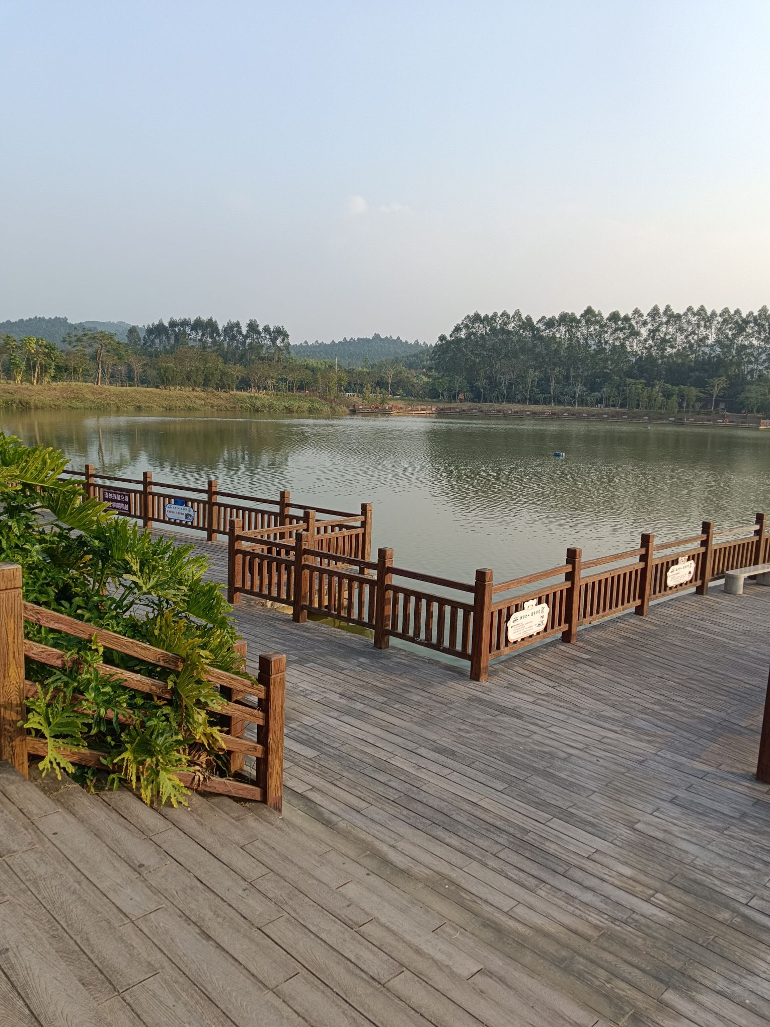 金星湖湿地景区旅行图片 2