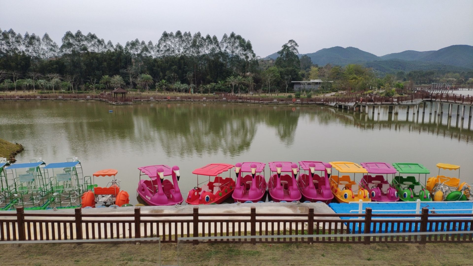 金星湖湿地景区旅行图片 1