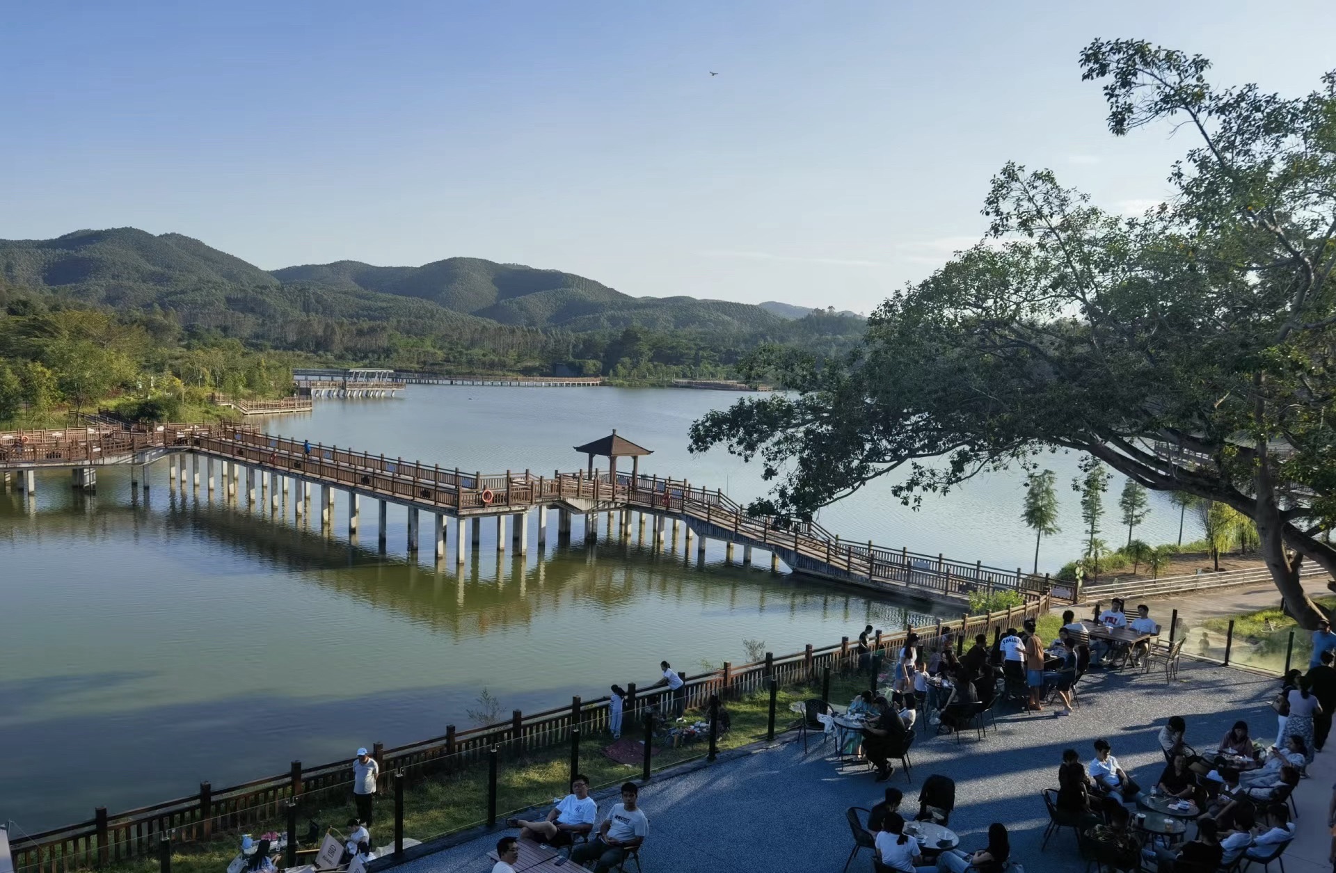 金星湖湿地景区