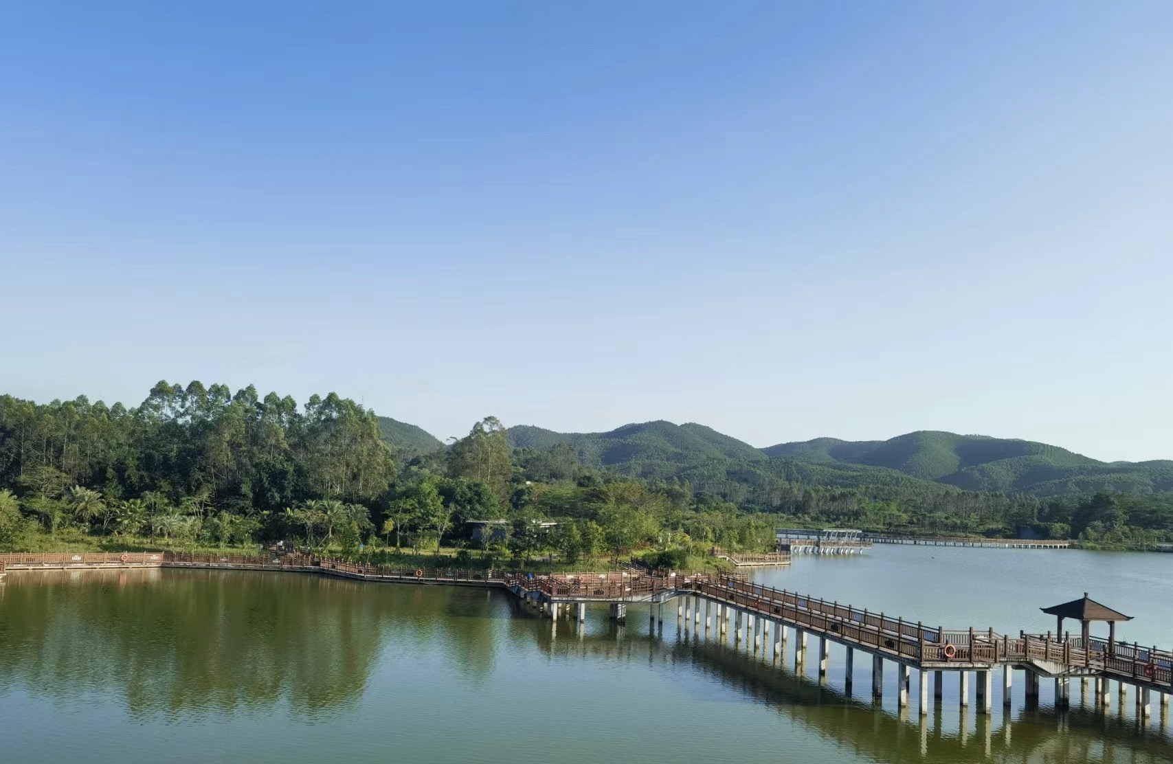 金星湖湿地景区旅行图片 2