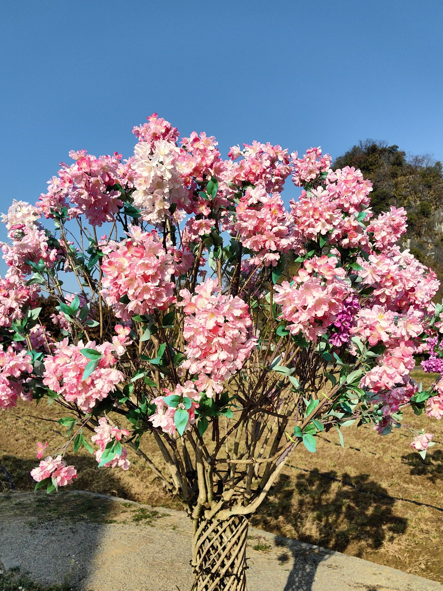 英西峰林·峰林晓镇旅行图片 2
