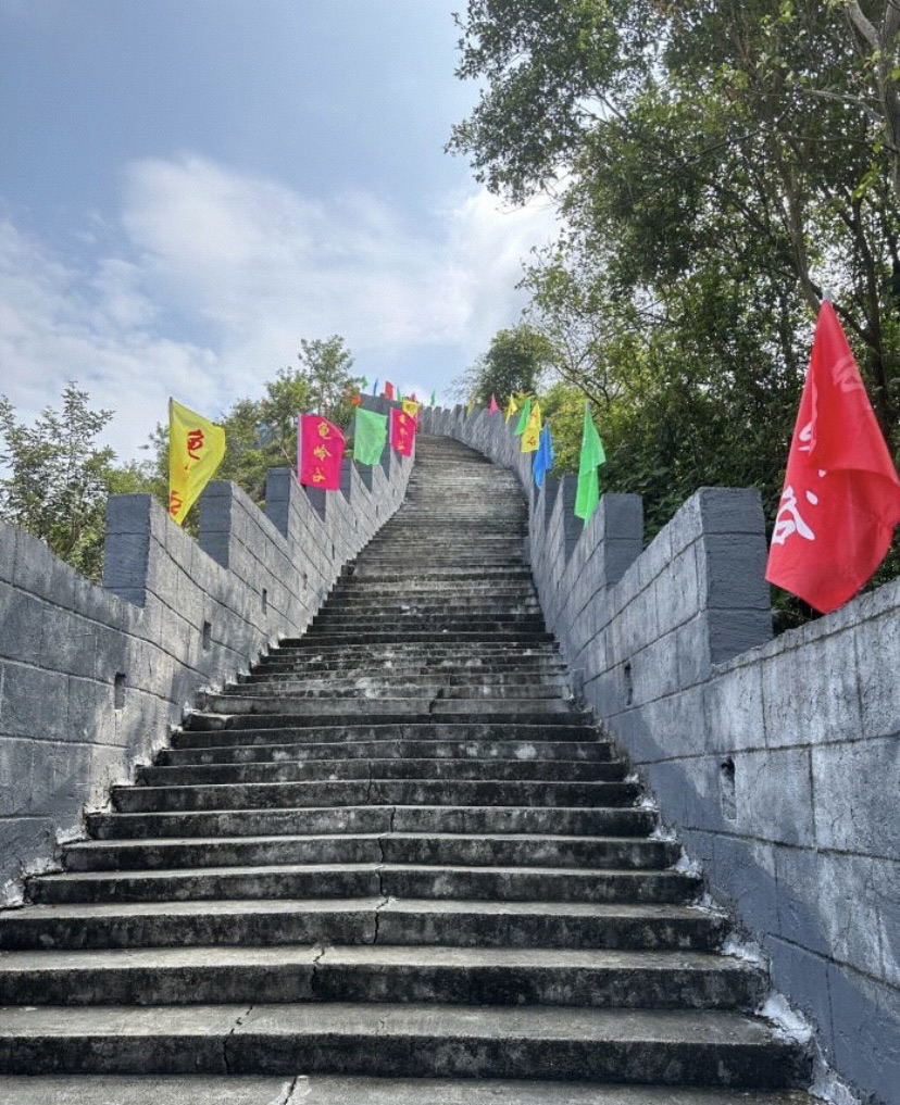 龟岭谷旅行图片 1
