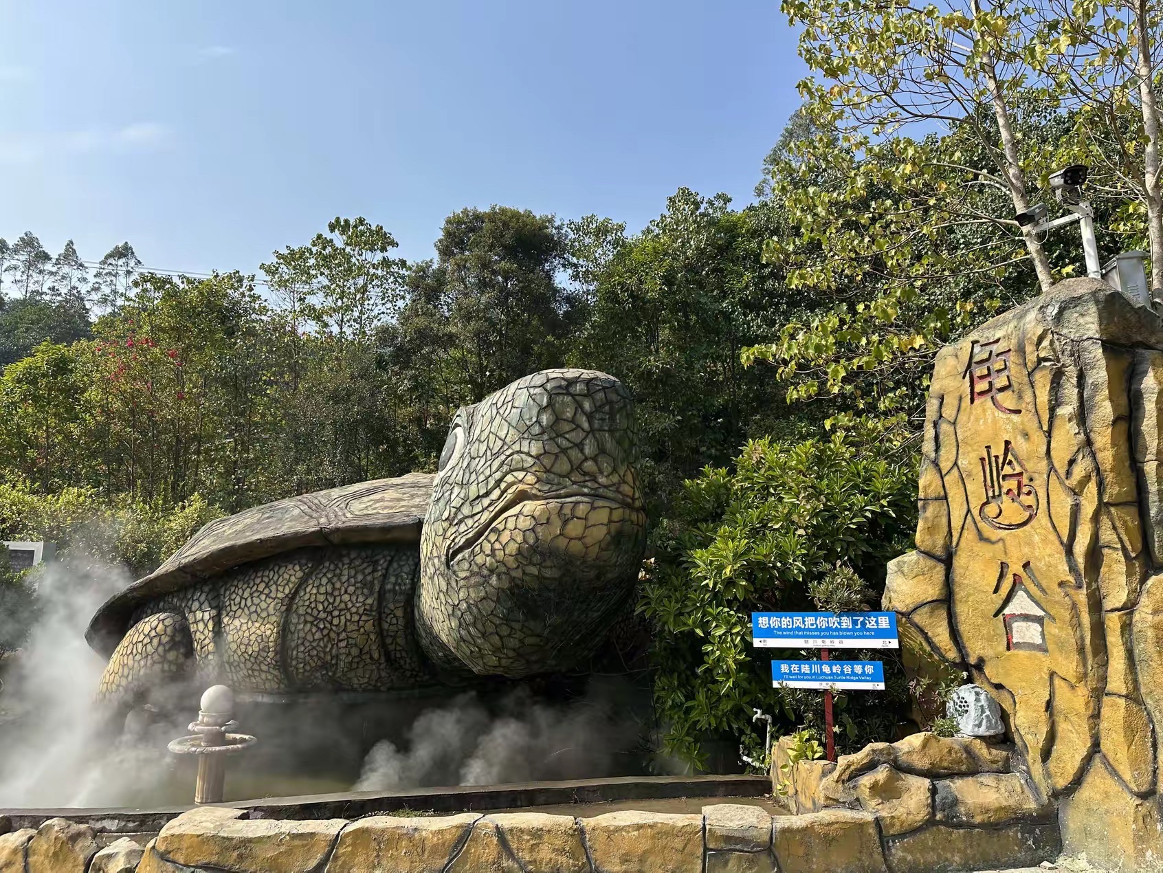 龟岭谷旅行图片 2
