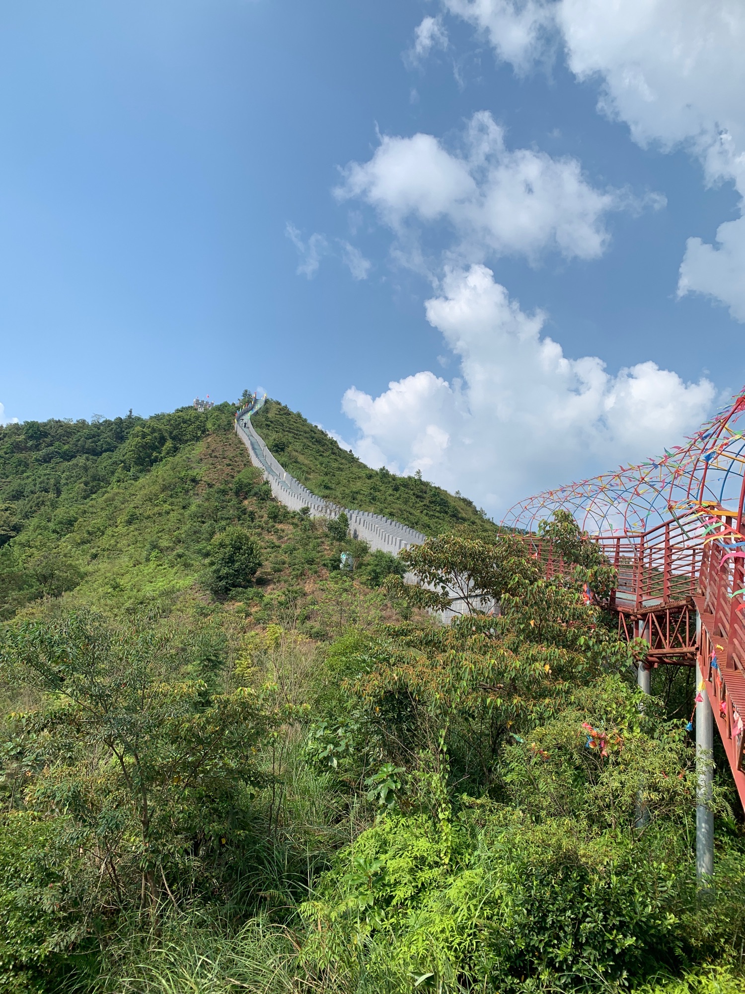 龟岭谷旅行图片 3