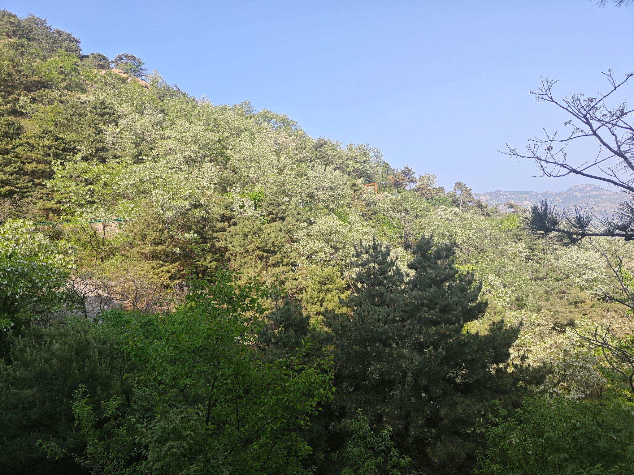 房干天鸡山景区旅行图片 2