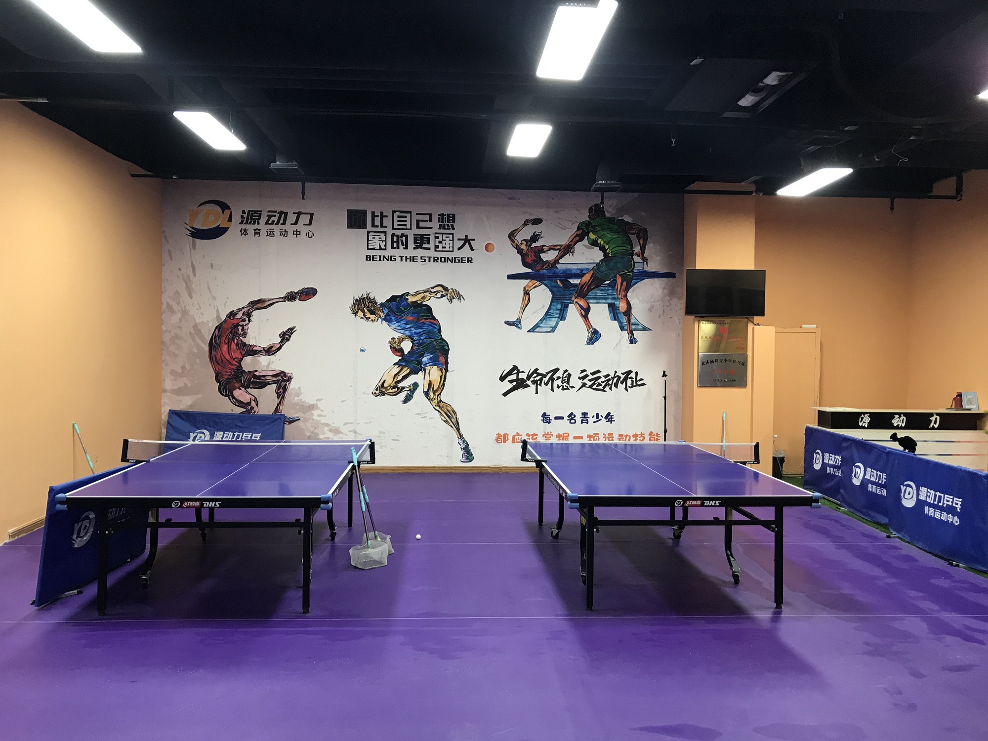 场地封面-源动力乒乓球运动中心(逸翠园店)
