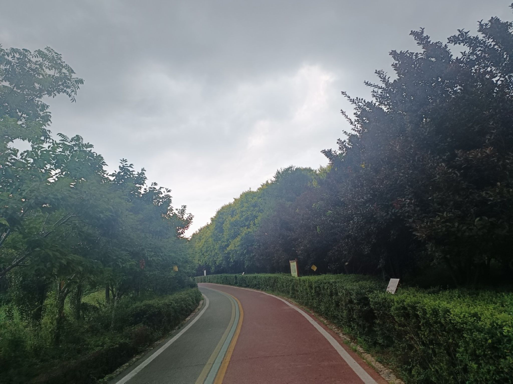淇河森林公园旅行图片 1