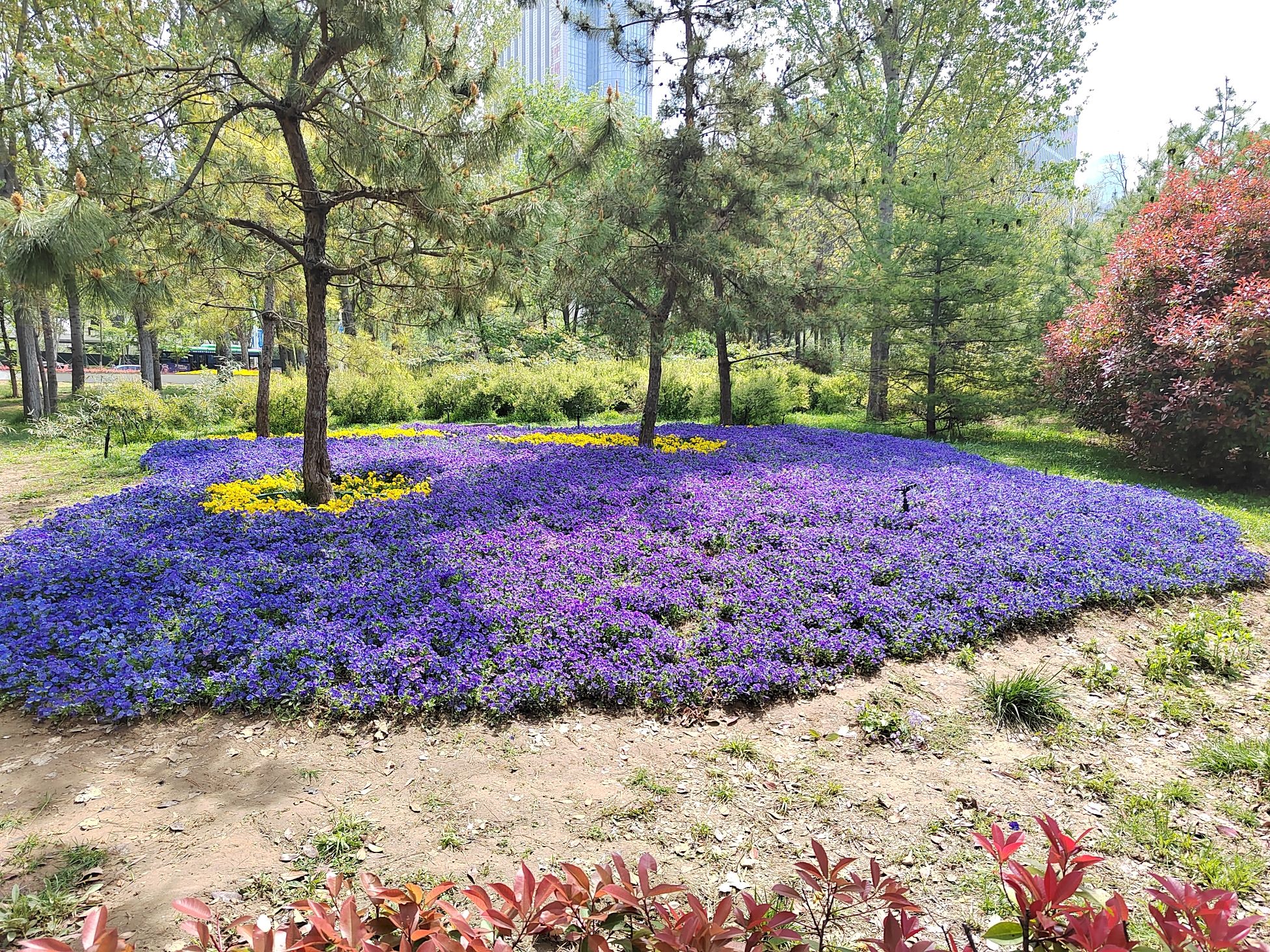 淇河森林公园
