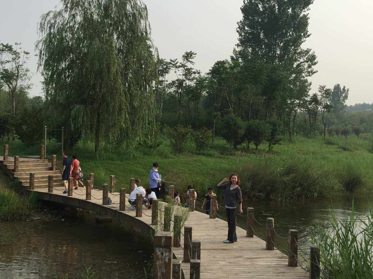 淇河森林公园旅行图片 3
