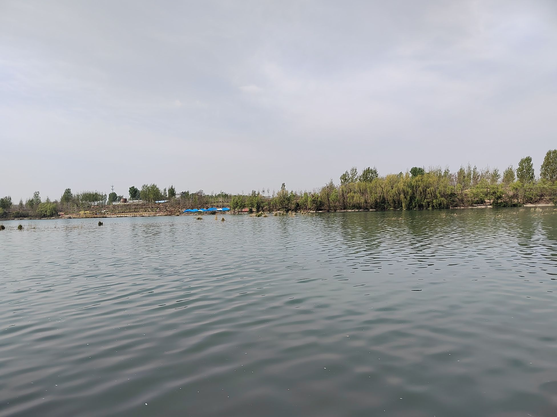淇河森林公园旅行图片 3