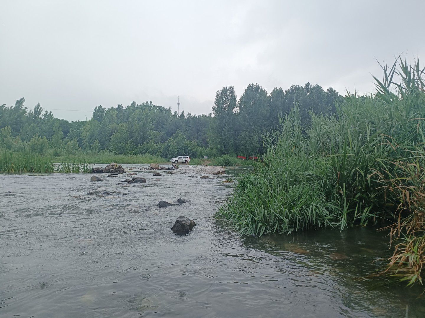 淇河森林公园旅行图片 3