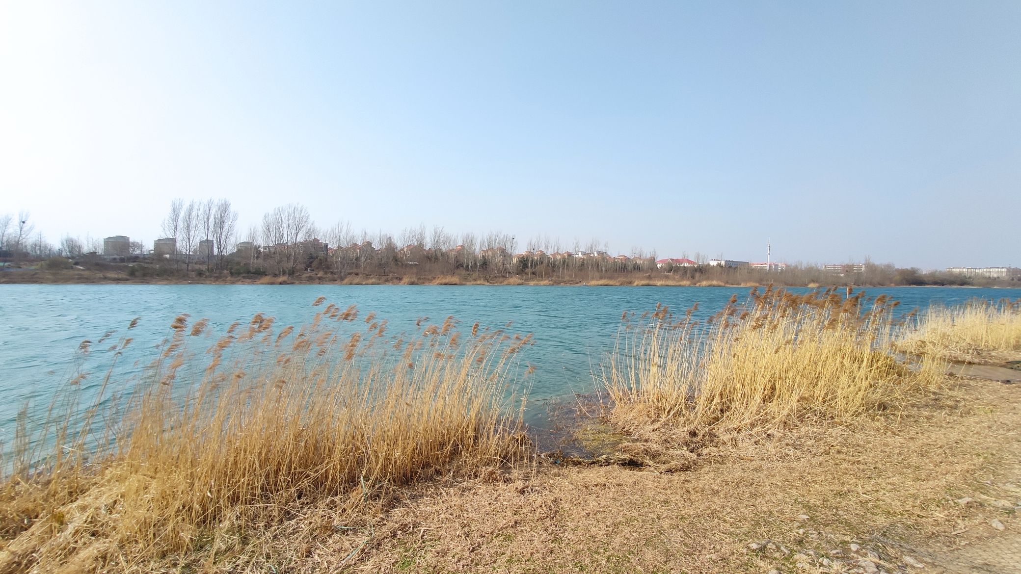 淇河森林公园旅行图片 3