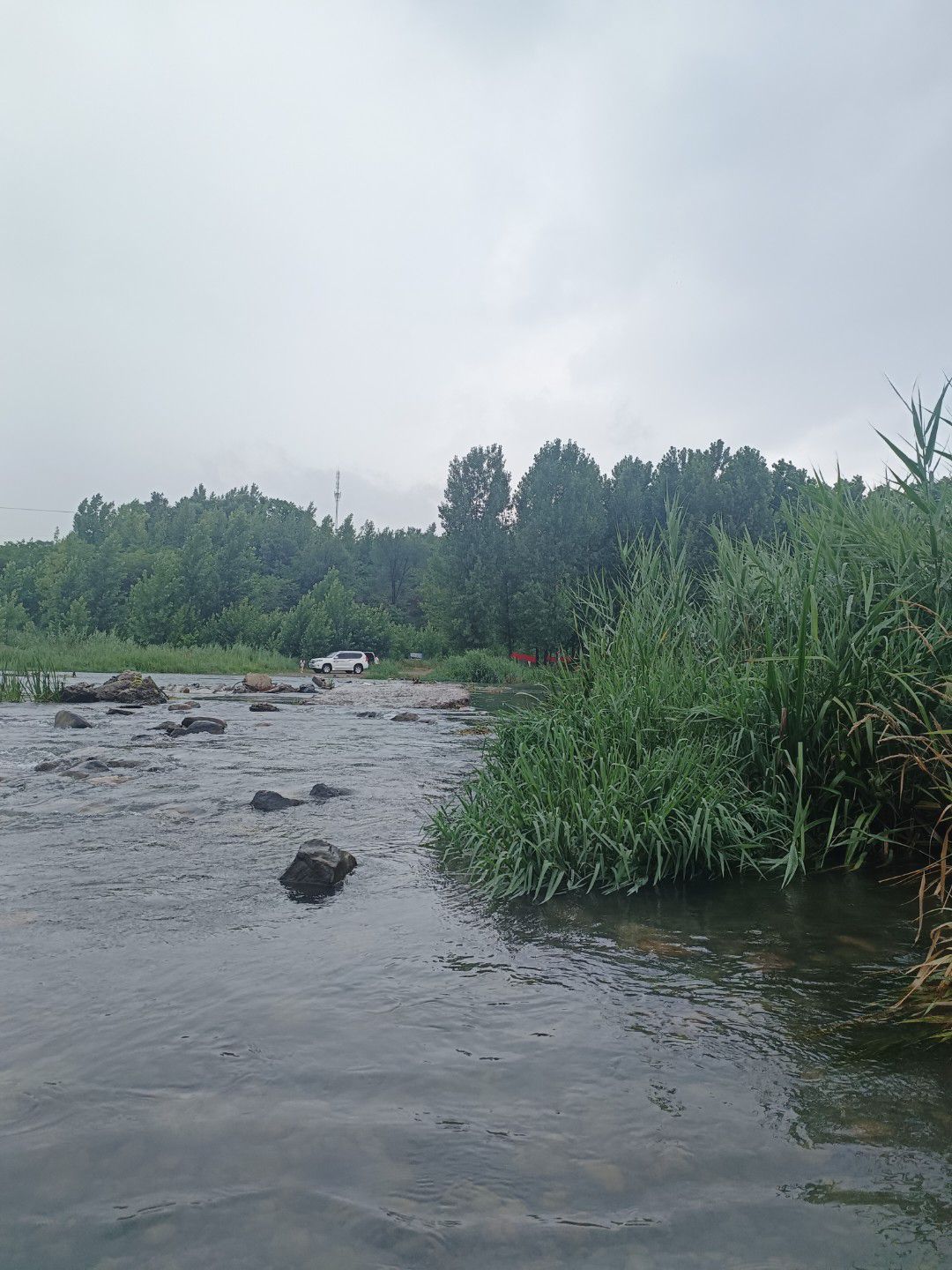 淇河森林公园旅行图片 2