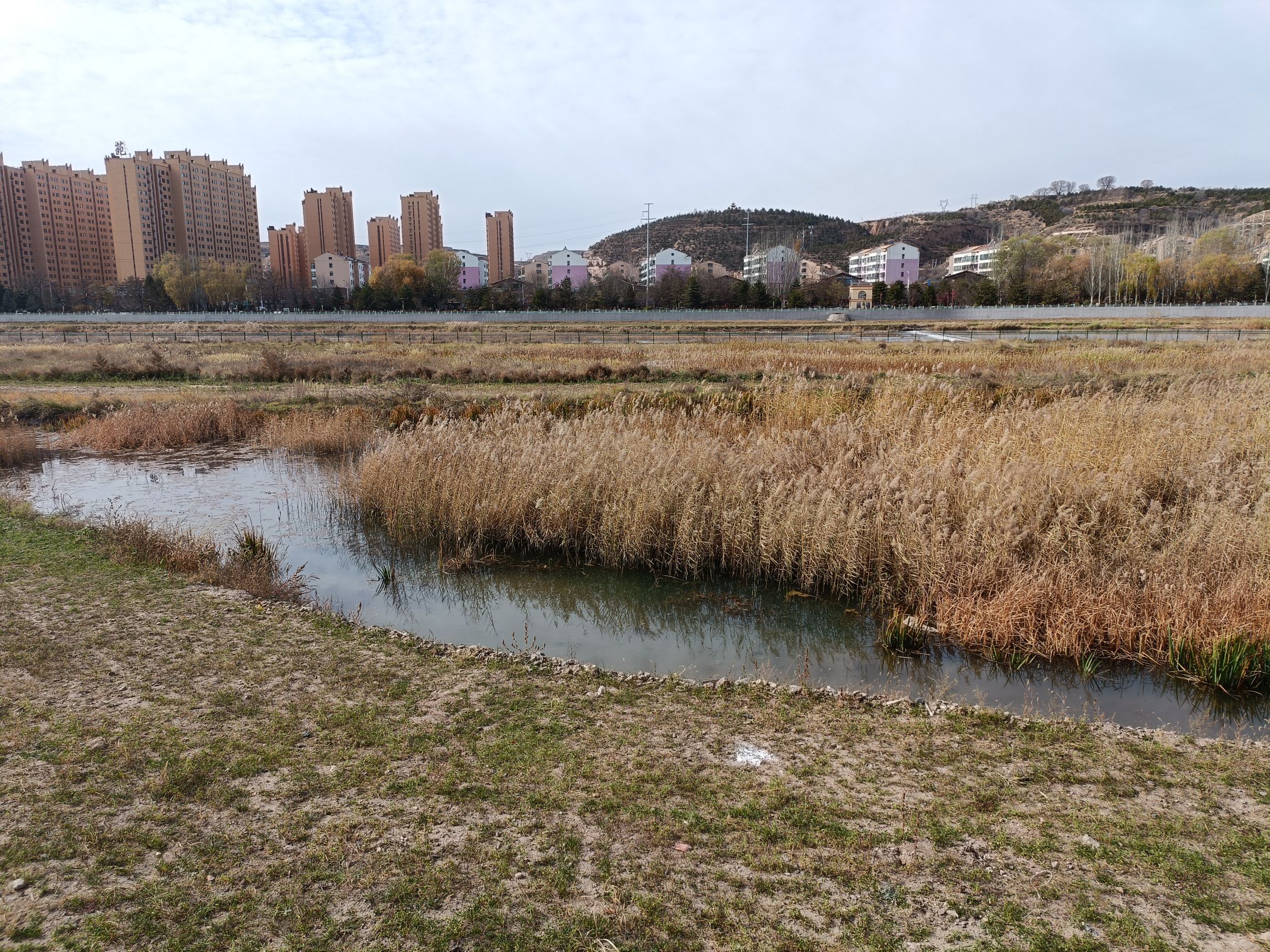 山西静乐汾河川国家湿地公园旅行图片 1