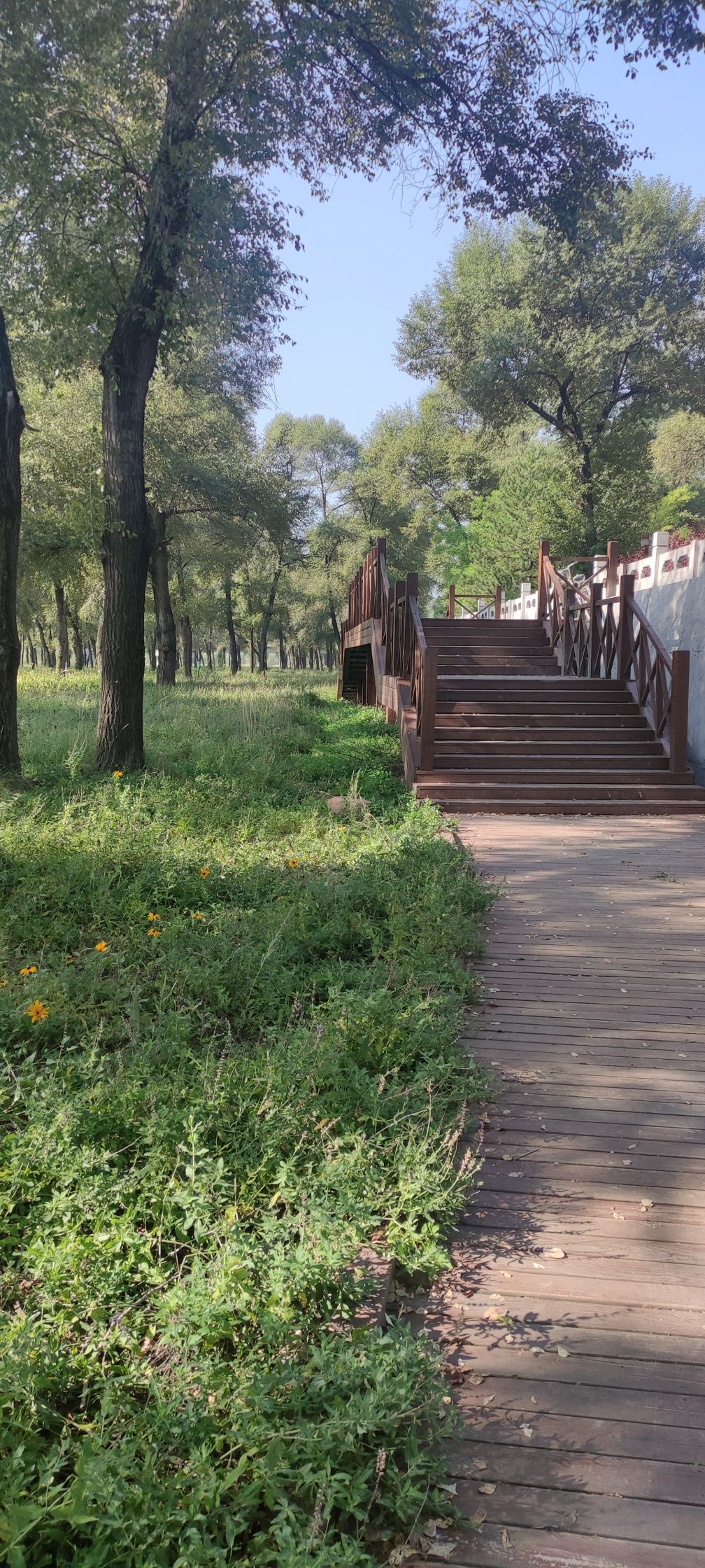山西静乐汾河川国家湿地公园旅行图片 1