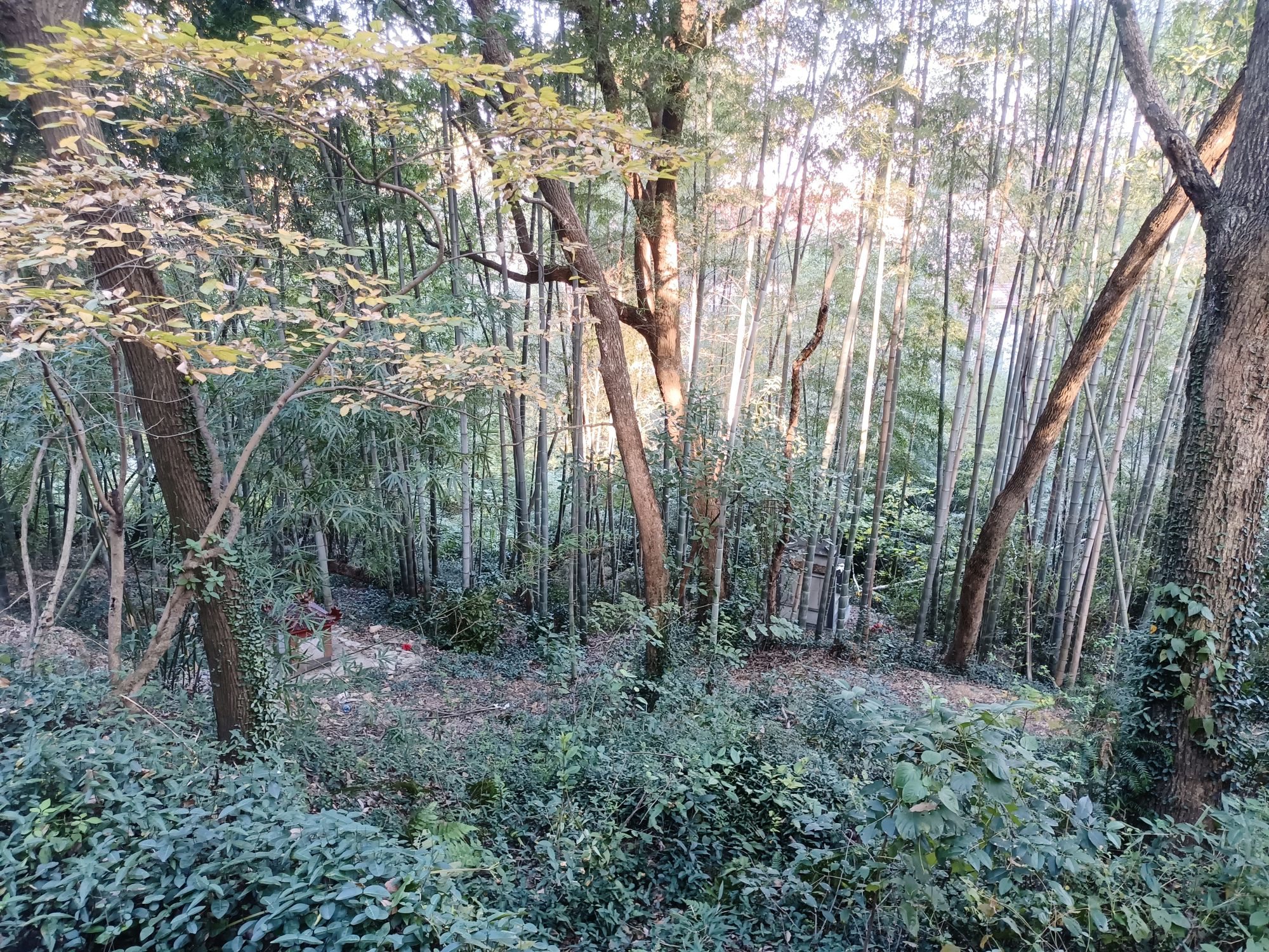 范蠡祠旅行图片 2