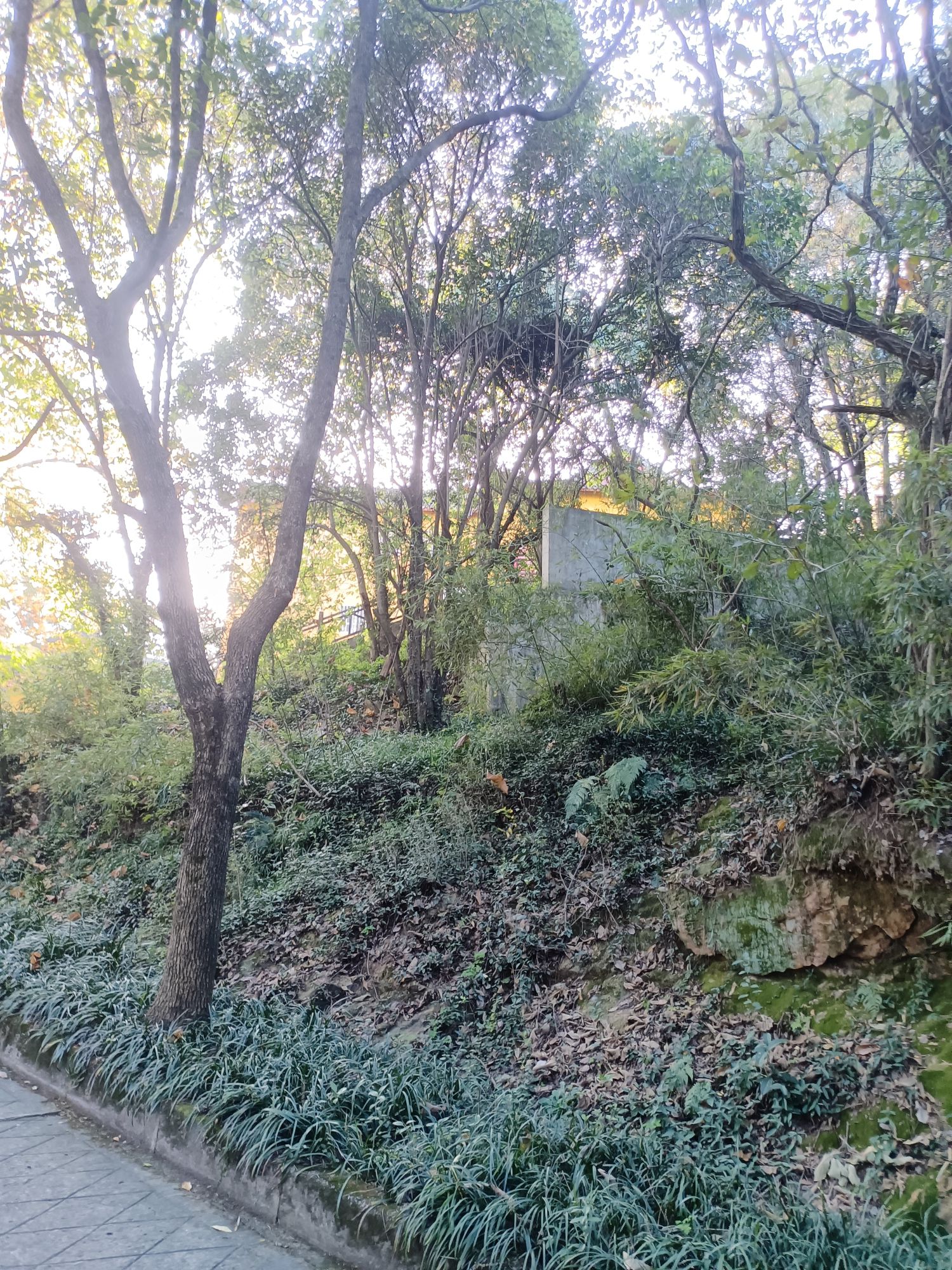 范蠡祠旅行图片 1