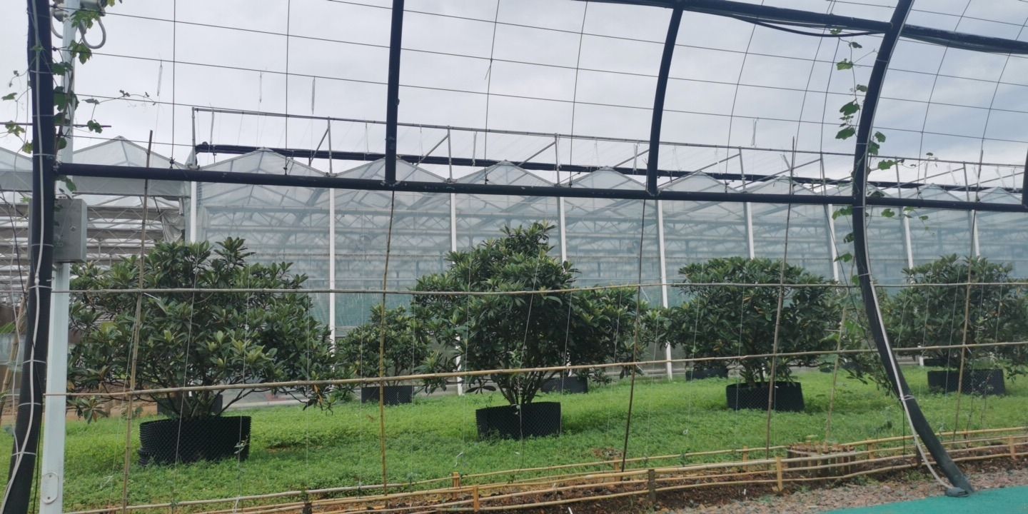 上饶云谷田园生态小镇旅行图片 2