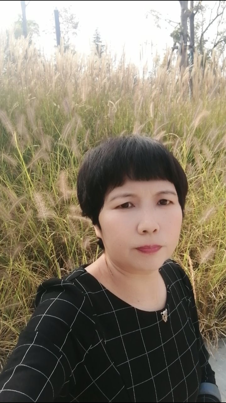 原阳民俗文化公园旅行图片 2