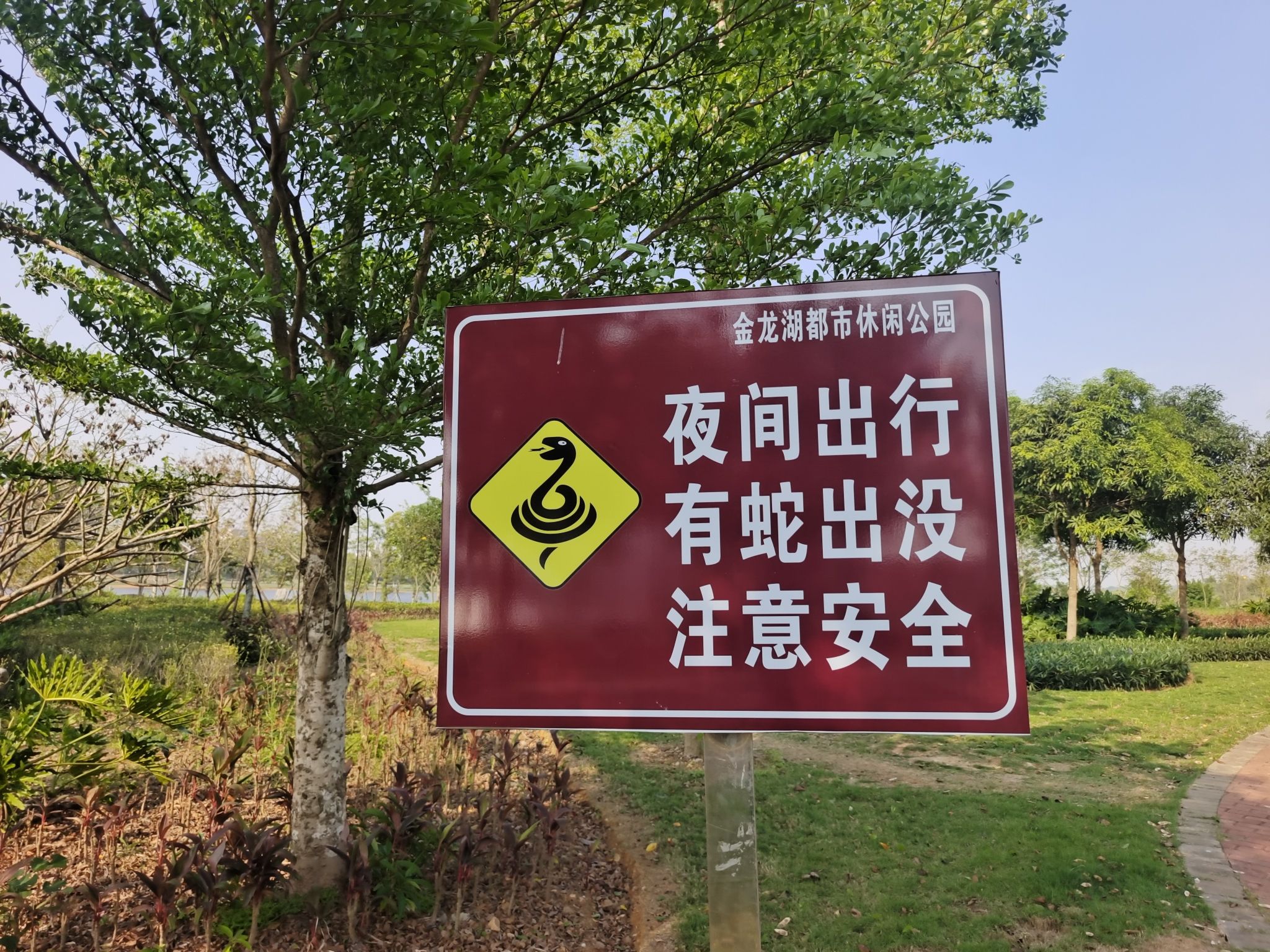 金龙湖健康主题公园旅行图片 2