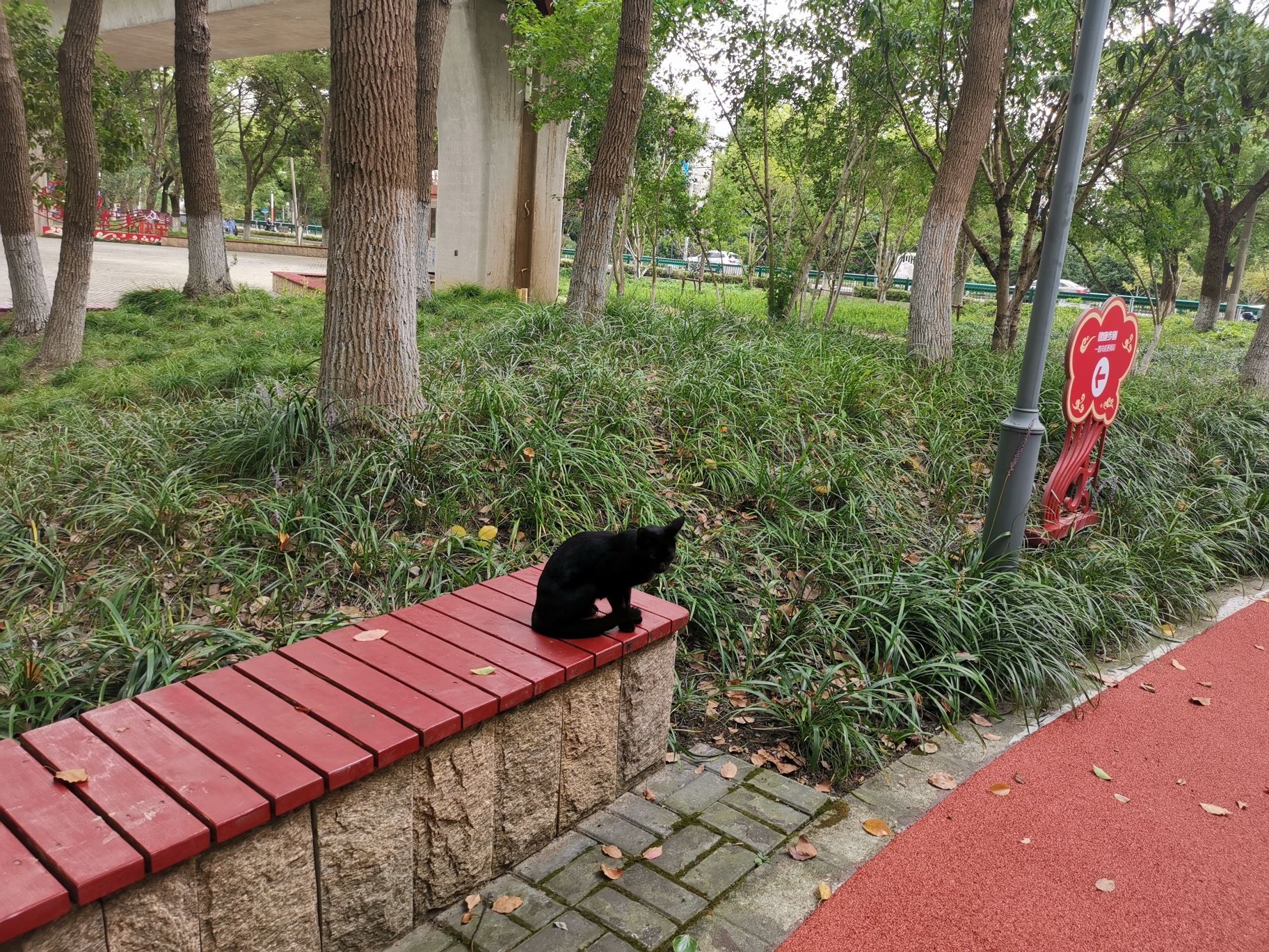 颛联休闲公园旅行图片 2