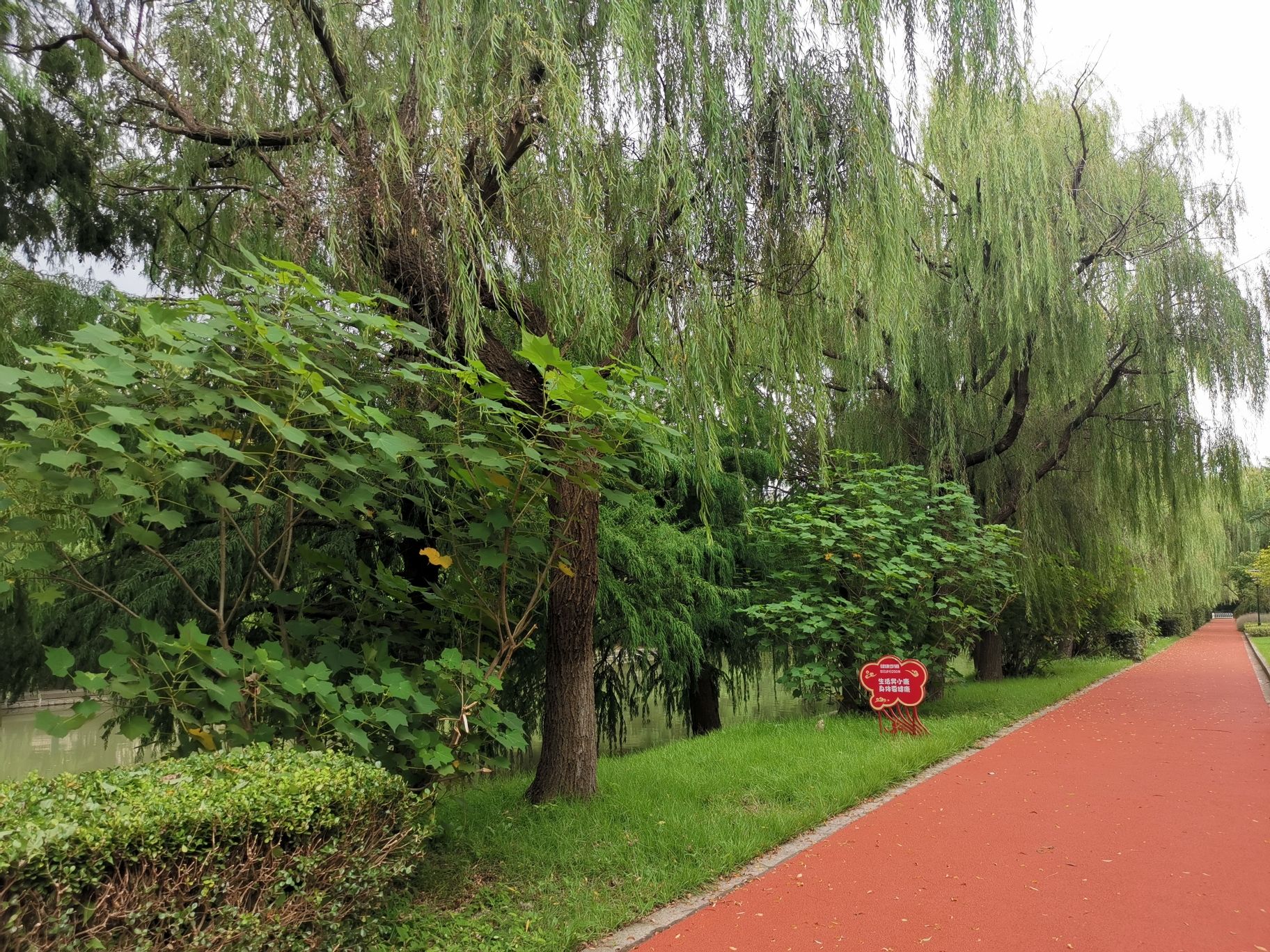 颛联休闲公园旅行图片 3