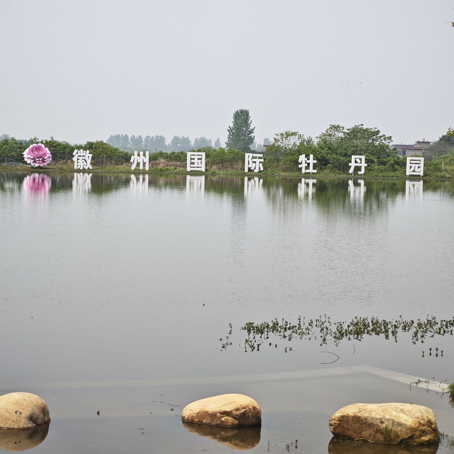 徽州国际牡丹园旅行图片 3