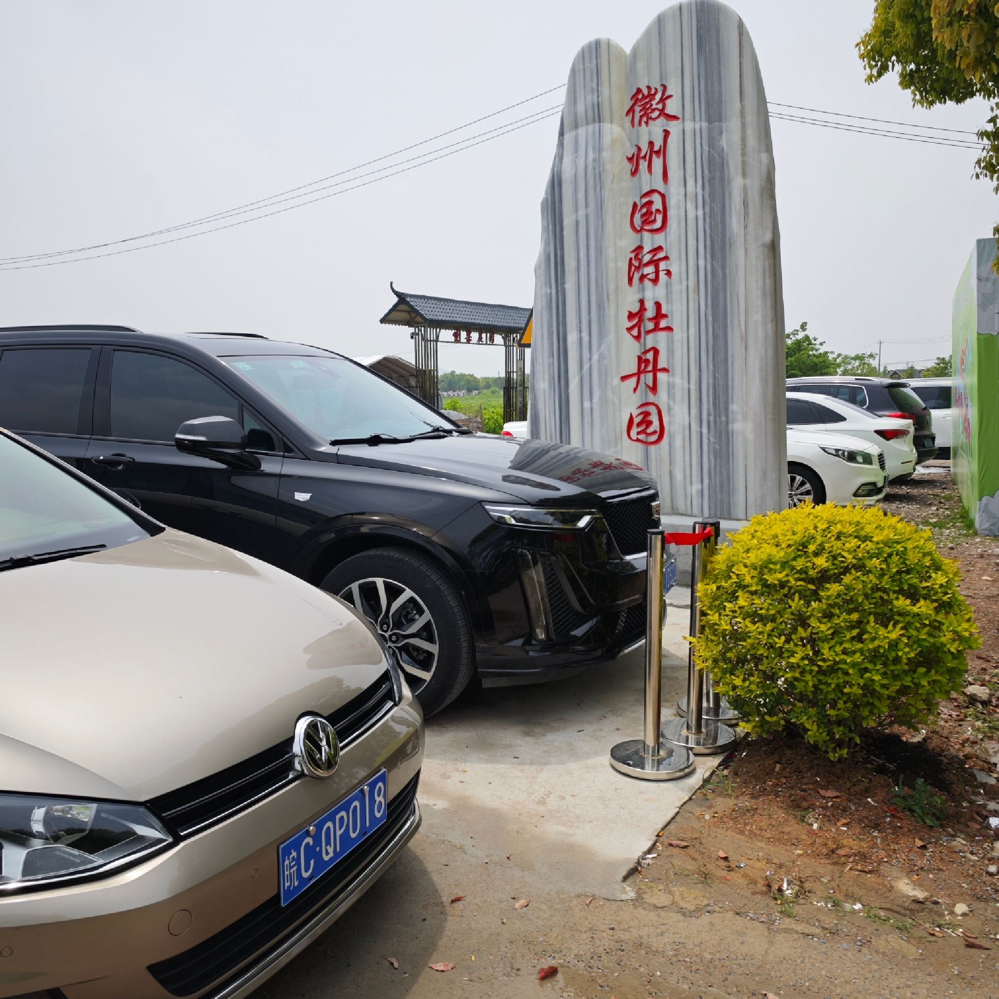 徽州国际牡丹园旅行图片 1