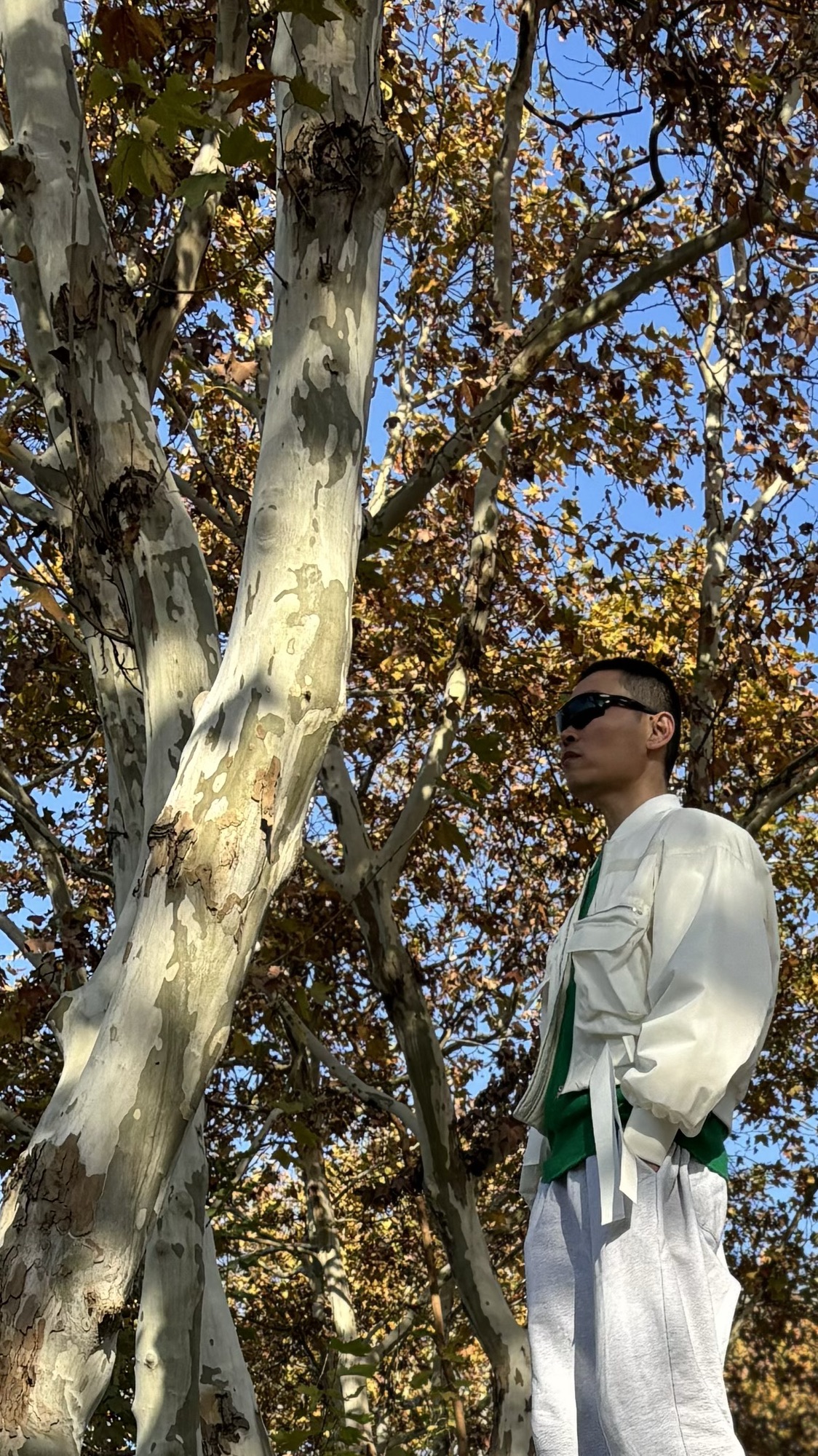 十里梧桐旅行图片 2