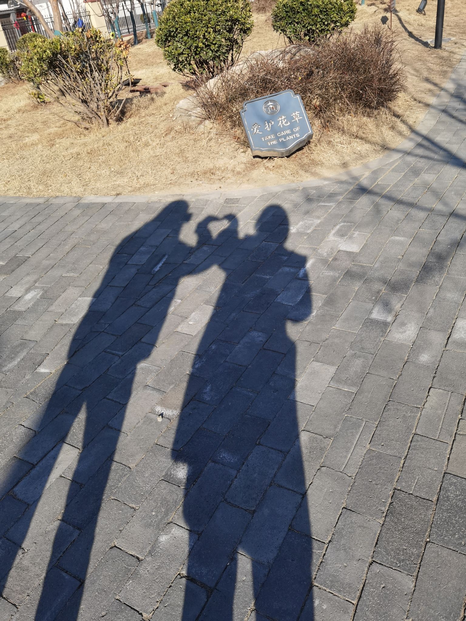古寒印象梦里水乡旅行图片 3