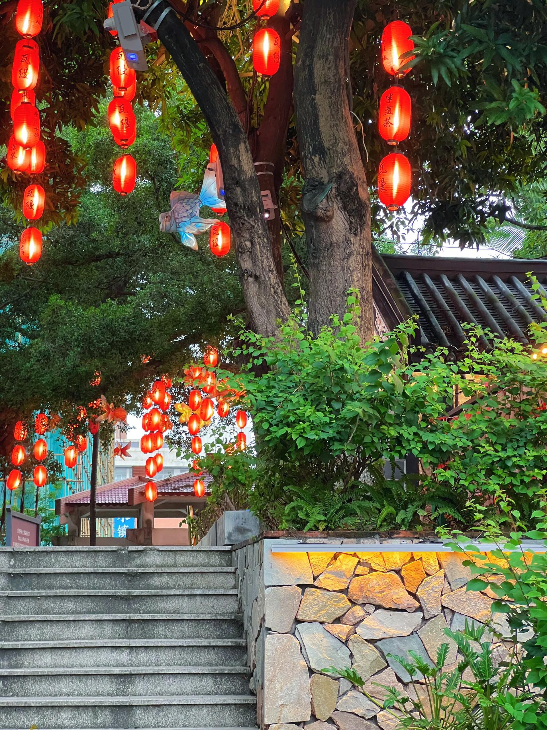 叠滘水乡旅行图片 2
